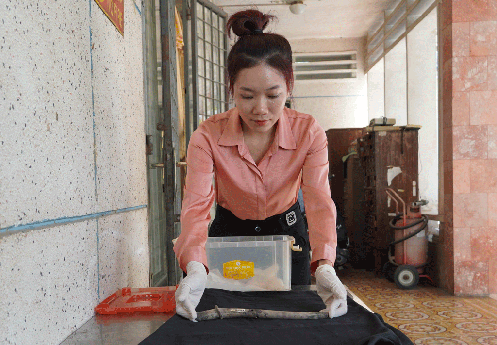 Một chiếc đàn sừng hươu, cổ vật 2.000 năm tuổi phát hiện ở Long An có 26 năm giải mã bí ẩn? ảnh 1