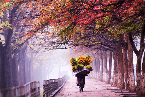 Những địa điểm chụp ảnh mùa thu đẹp đến nao lòng ở Hà Nội