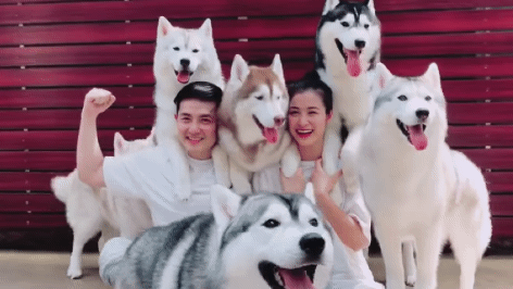 Đông Nhi - Ông Cao Thắng không ngờ có ngày cũng bị "phũ" như thế này! ảnh 2
