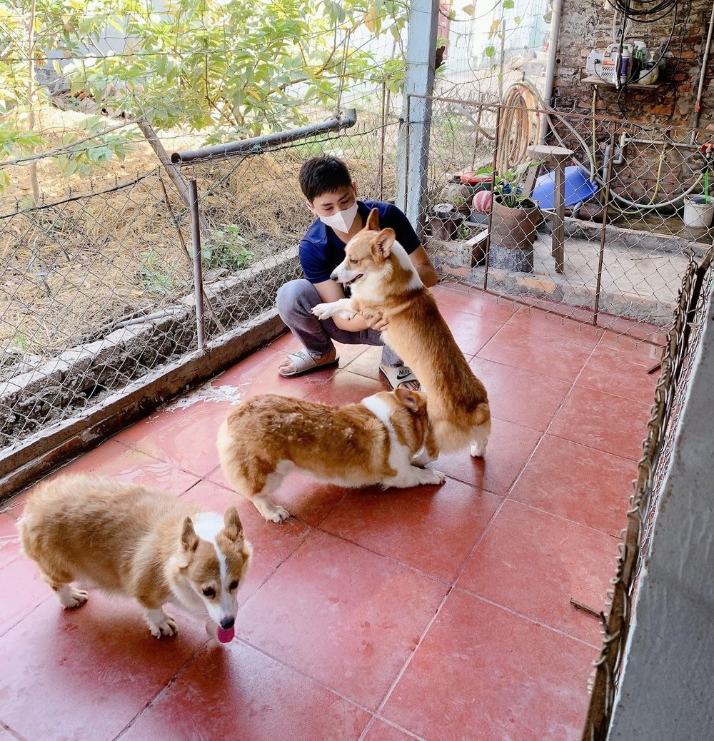 Ám ảnh bên trong những trang trại nuôi chó thịt của Hàn Quốc