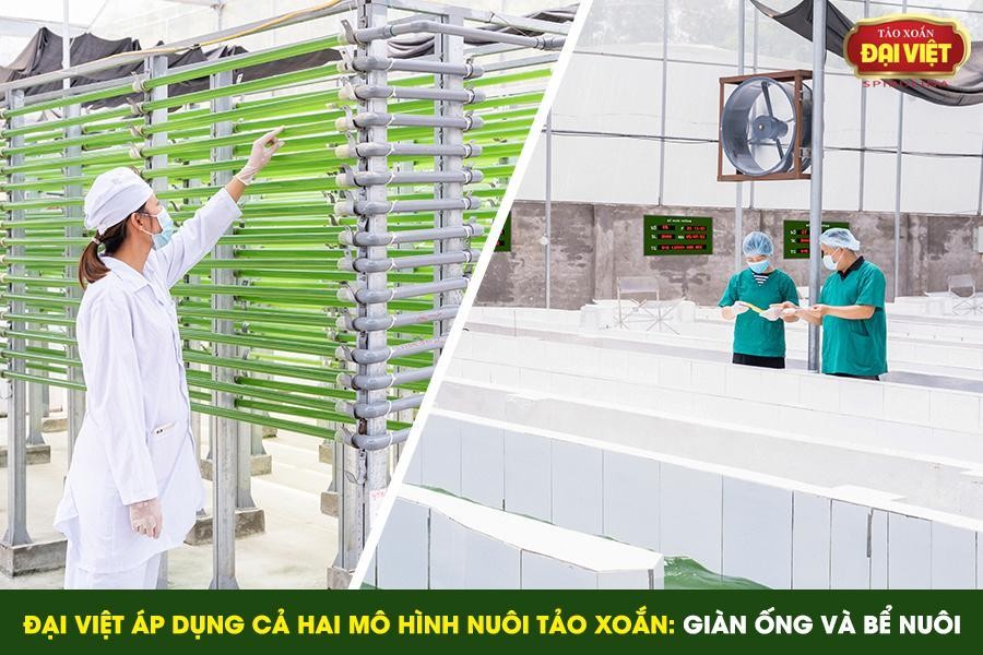 Ninh Bình Ứng dụng công nghệ số vào tiêu thụ nông sản  Đài Phát thanh và  Truyền hình Ninh Bình