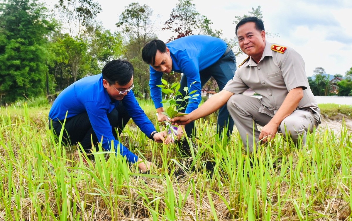 Tuổi trẻ Hà Tĩnh với hoạt động tình nguyện quốc tế trên nước bạn Lào ảnh 10