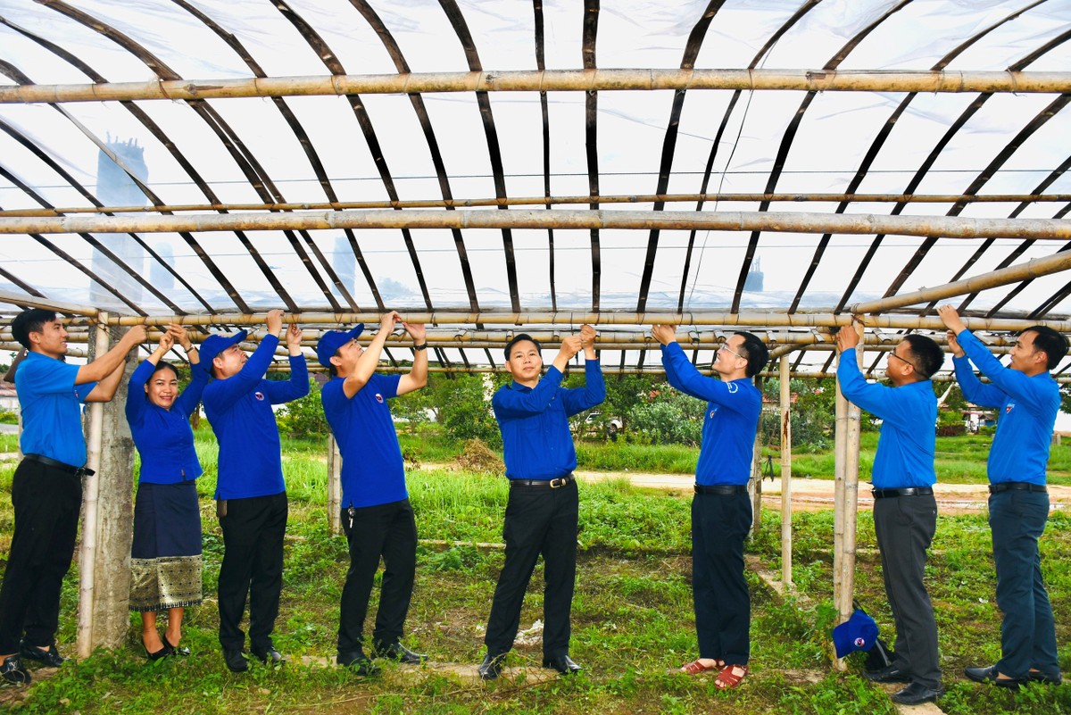 Tuổi trẻ Hà Tĩnh với hoạt động tình nguyện quốc tế trên nước bạn Lào ảnh 8