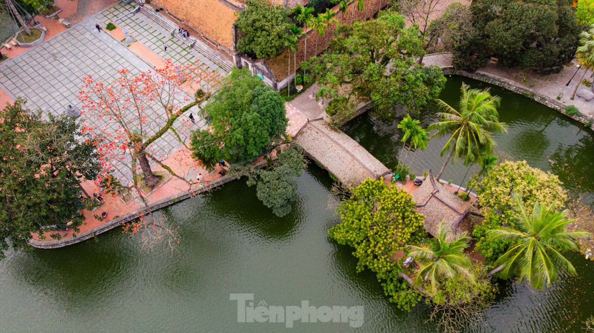 Mê mẩn ngắm hoa gạo nở đỏ rực bên ngôi chùa nghìn năm tuổi tại Hà Nội ảnh 1