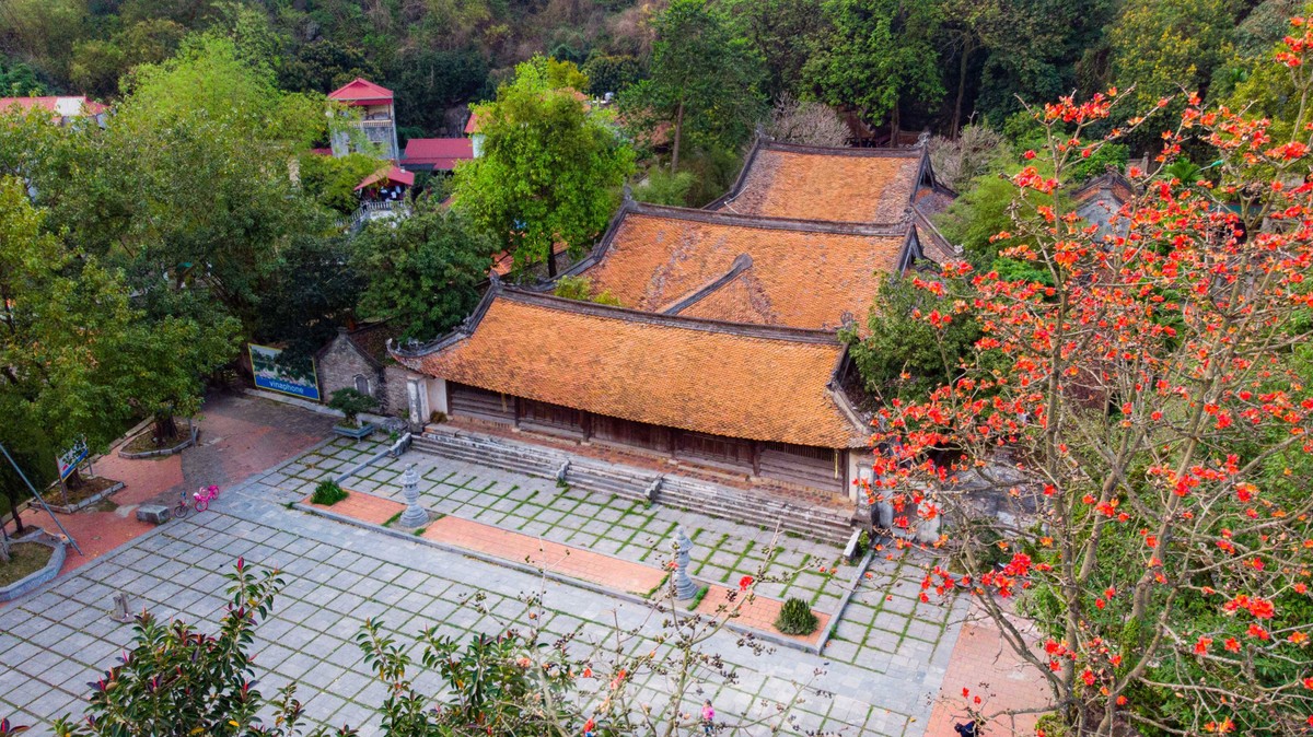 Mê mẩn ngắm hoa gạo nở đỏ rực bên ngôi chùa nghìn năm tuổi tại Hà Nội ảnh 3