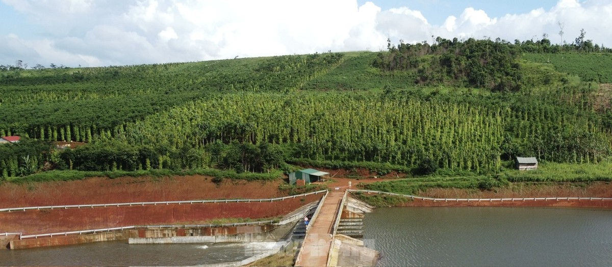 Nguy cơ vỡ hồ chứa nước gần 138 tỷ mới hoàn thành ở Đắk Nông ảnh 6