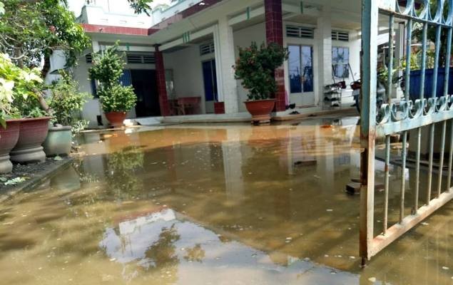 Nhà nứt, cây trồng chết hàng loạt vì 'siêu dự án' thoát nước ảnh 2