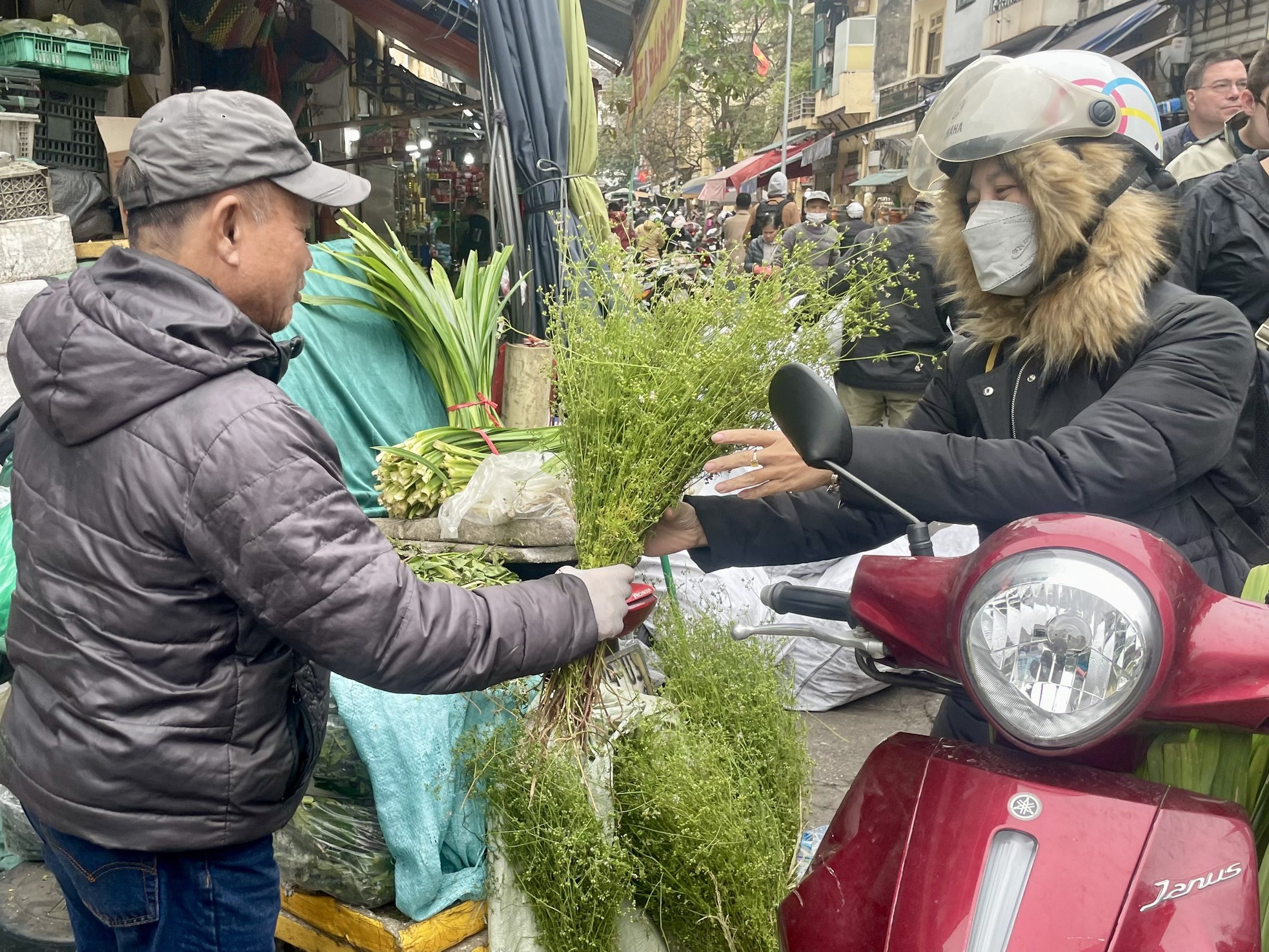 Hương mùi già về phố, báo hiệu Tết rất gần ảnh 4