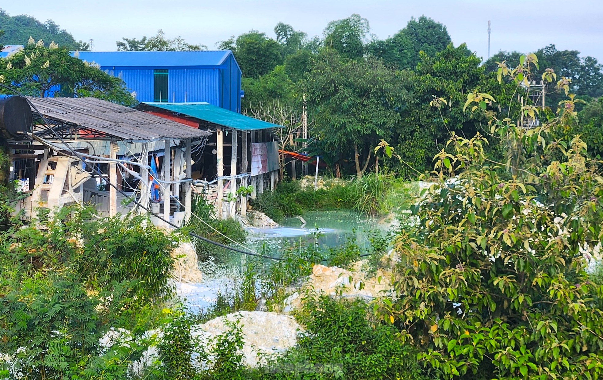 Nhìn từ trên cao những vạt rừng loang lổ ở thủ phủ khoáng sản Quỳ Hợp ảnh 21