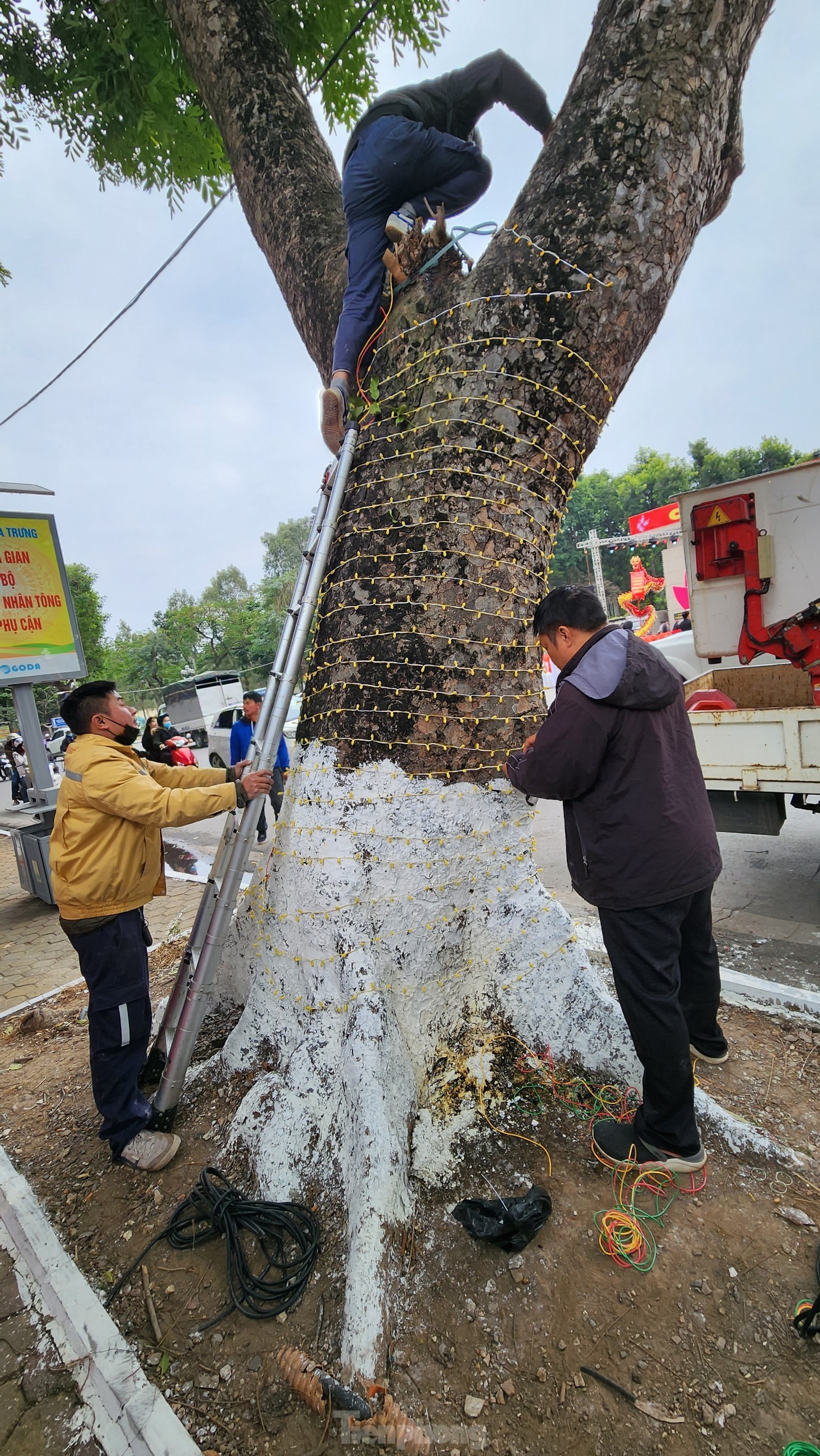 Không gian đi bộ phố Trần Nhân Tông trang hoàng rực rỡ trước giờ mở cửa ảnh 13