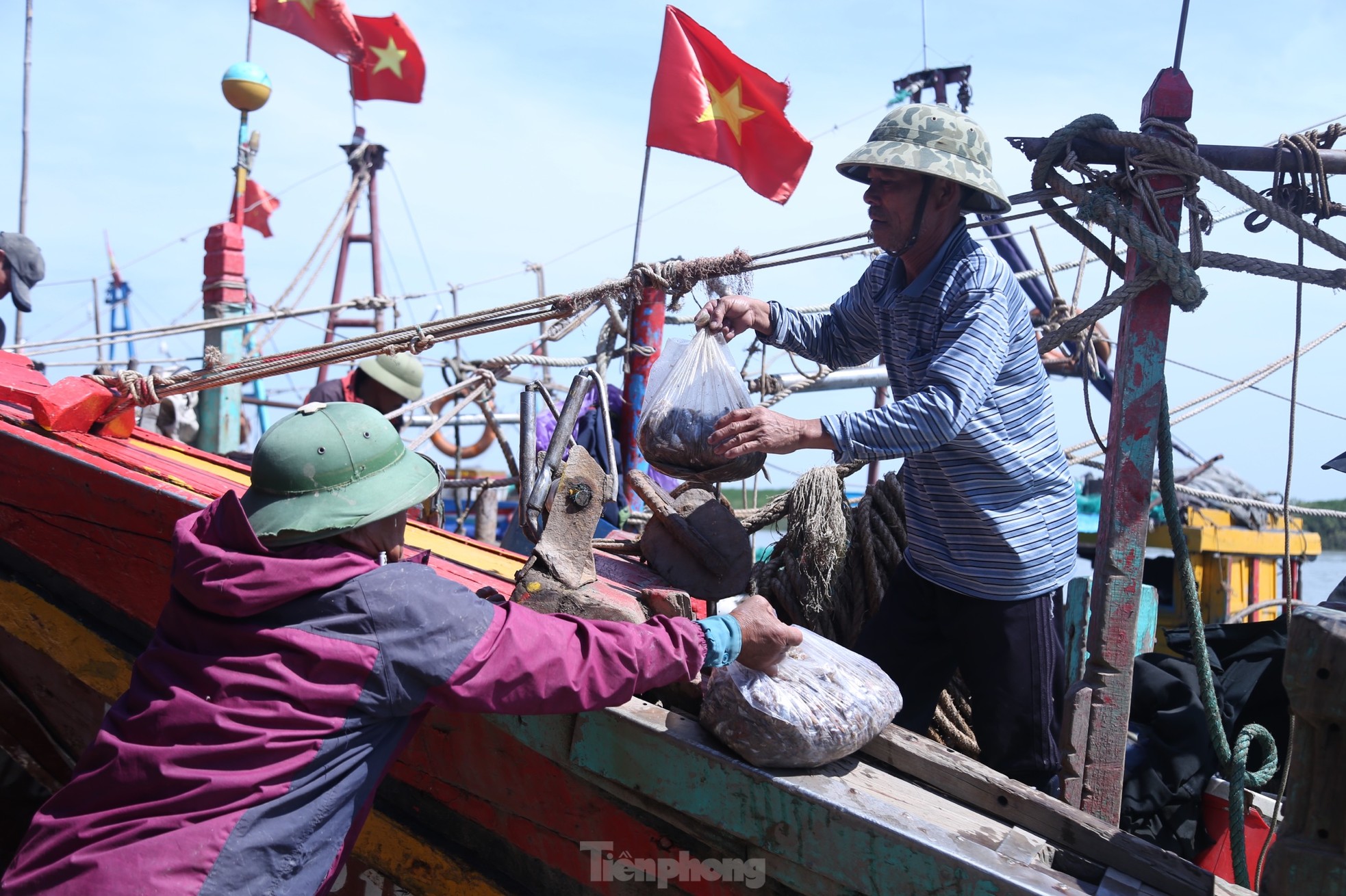 Ngư dân đón 'lộc biển' sau chuyến ra khơi đầu năm, tàu cập bờ là cháy hàng ảnh 5