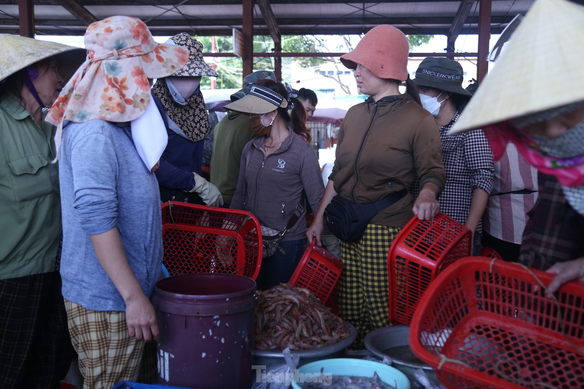 Ngư dân đón 'lộc biển' sau chuyến ra khơi đầu năm, tàu cập bờ là cháy hàng ảnh 7