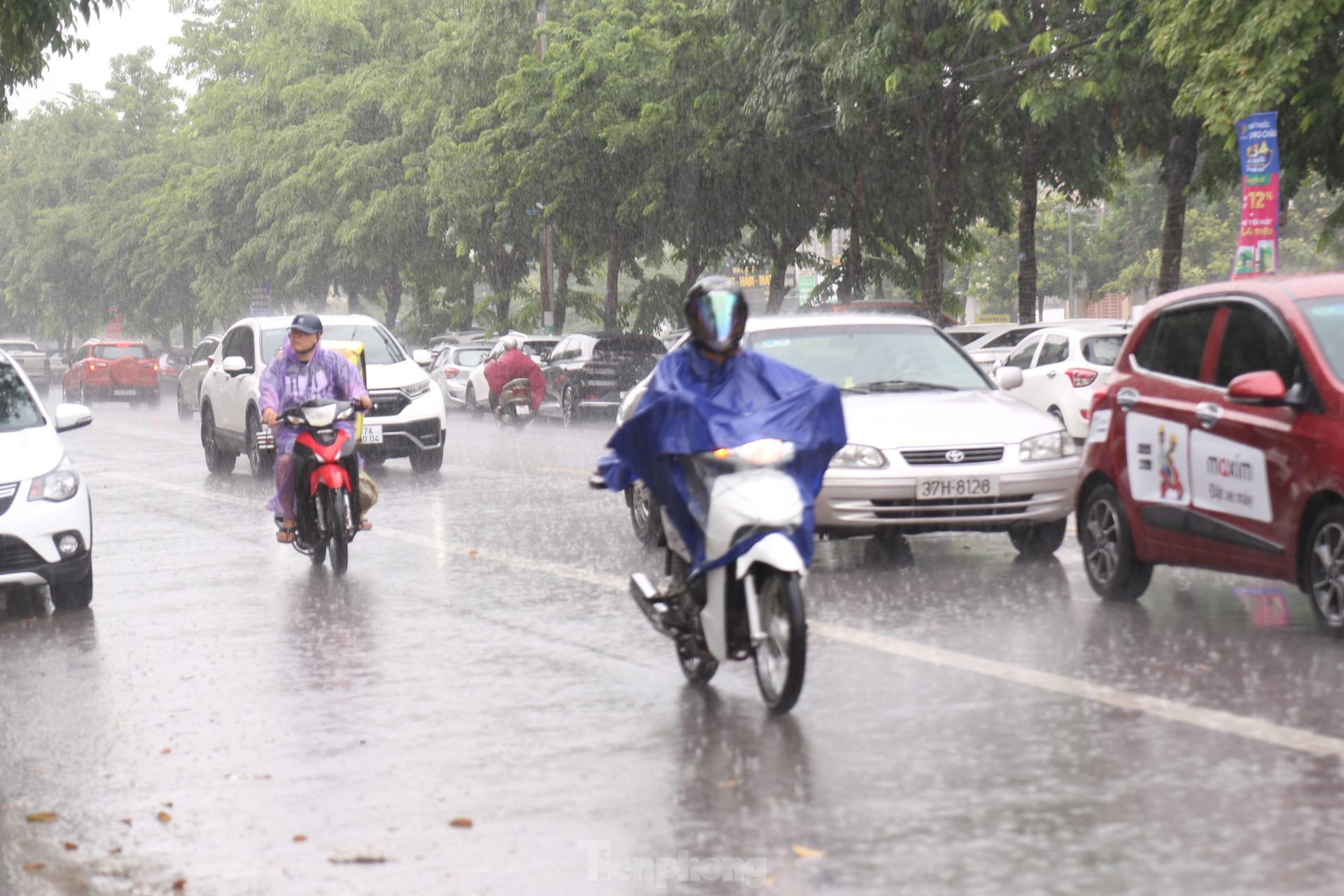 Mưa 'vàng' hạ nhiệt 'chảo lửa' thành Vinh ảnh 3