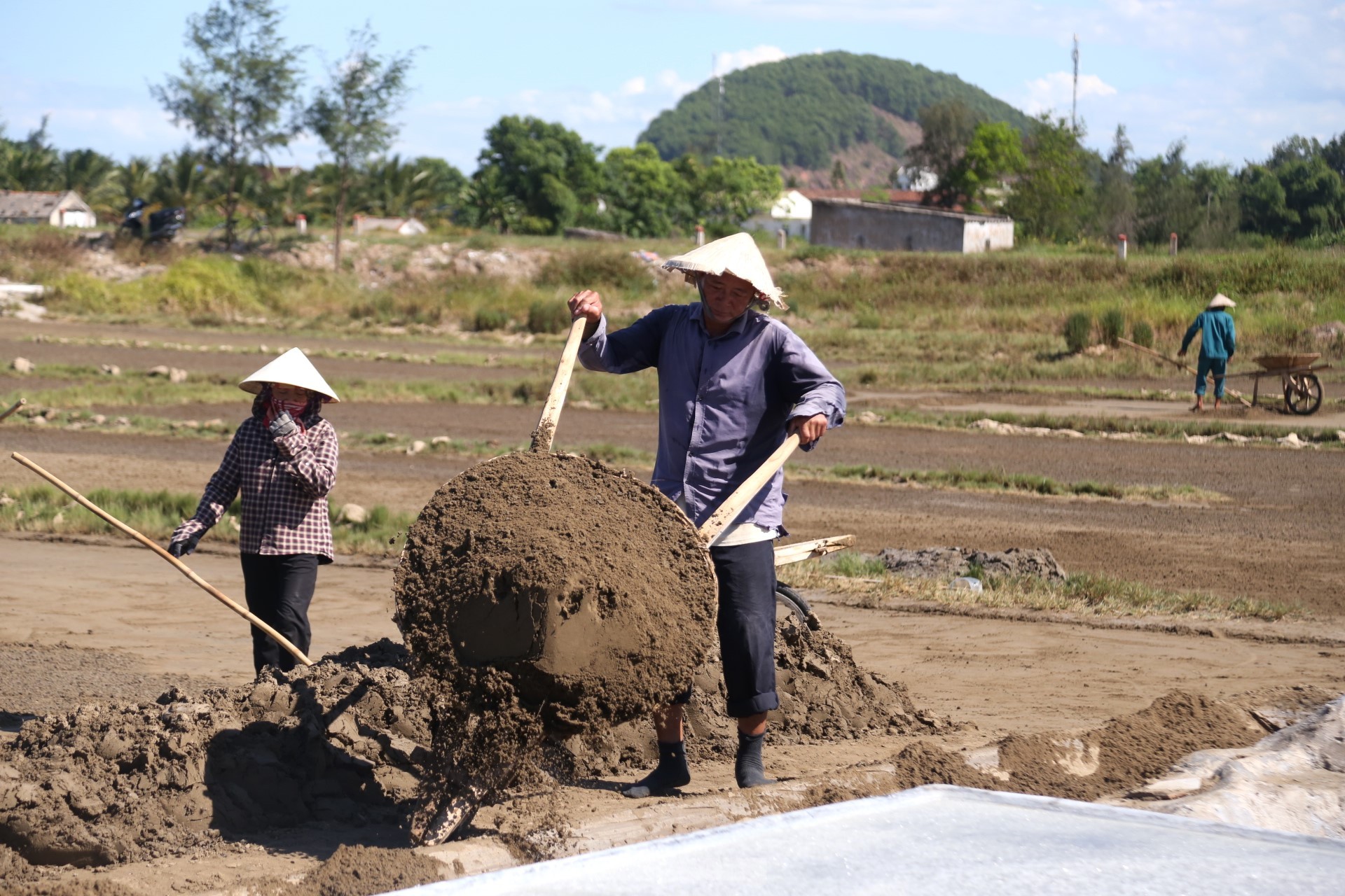 Nghề phụ thuộc vào thời tiết, nắng càng to càng mừng ảnh 2