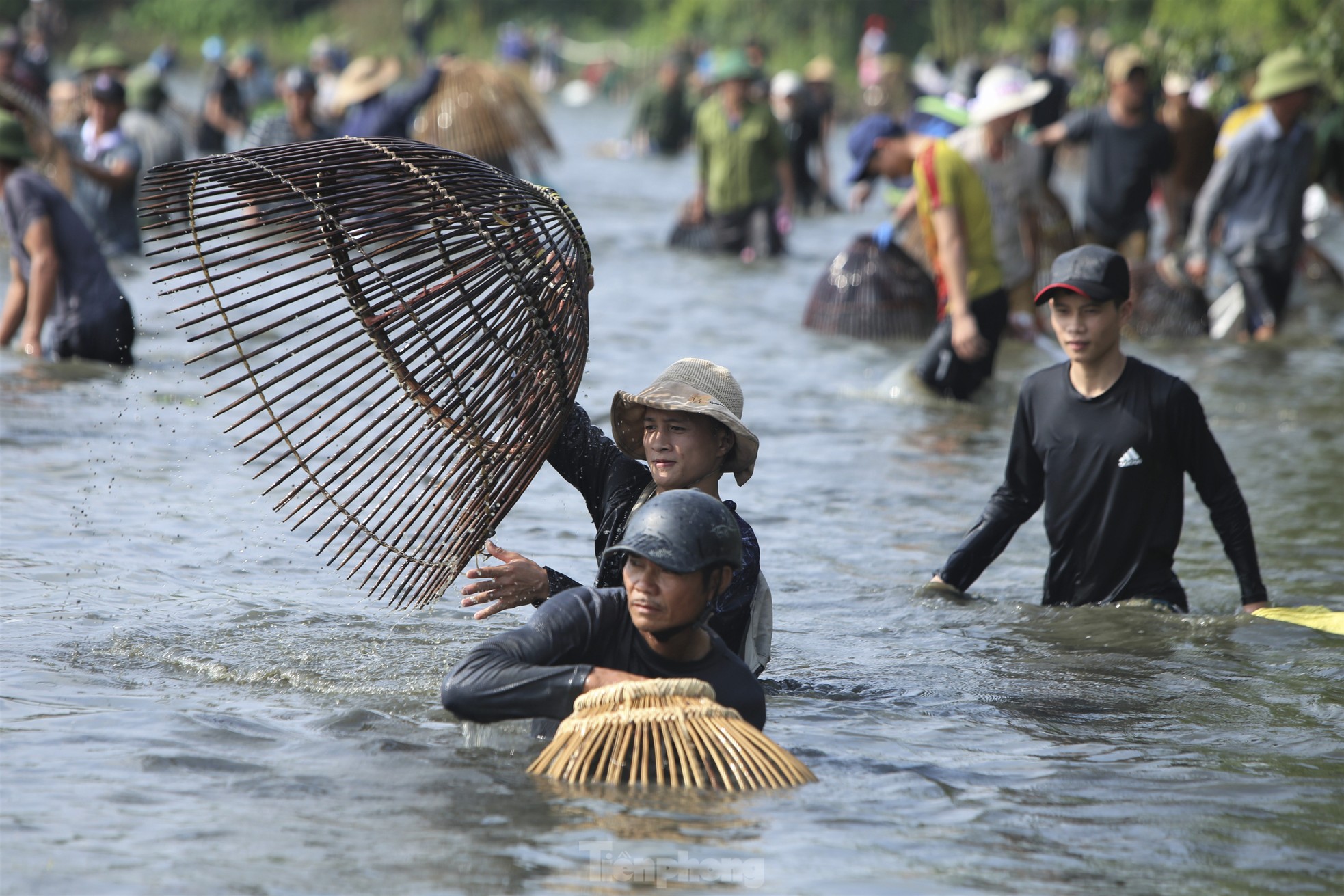 Cả trăm người 'đội nắng', lặn ngụp nơm cá dưới hồ ảnh 11