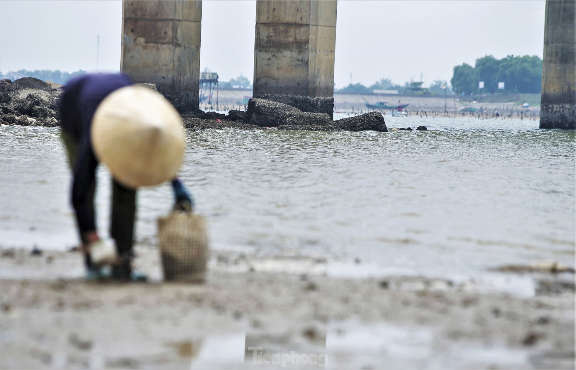 Đất đá, bê tông bị 'bỏ quên' gần 10 năm dưới chân cầu ở Hà Tĩnh ảnh 12