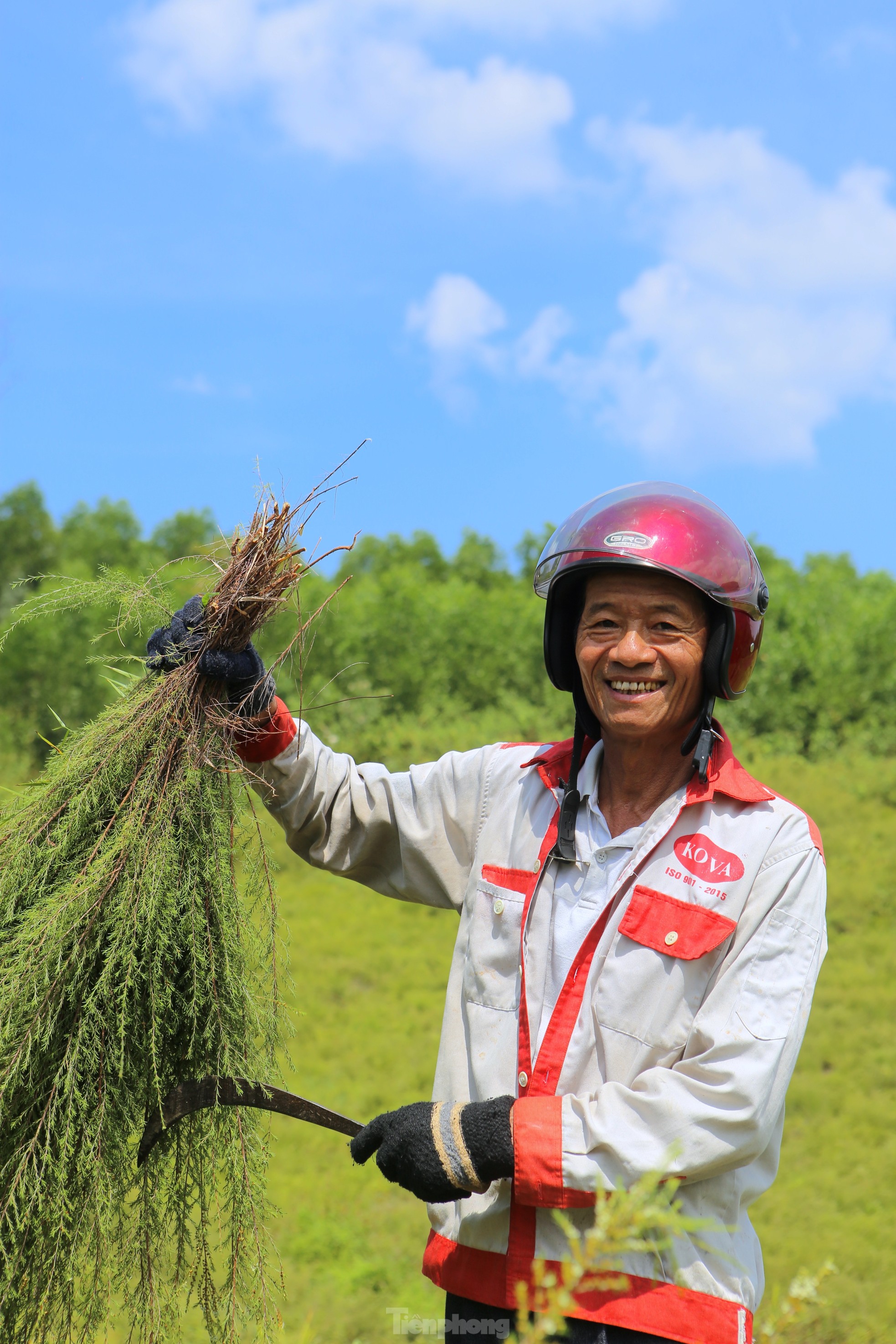 Nông dân Hà Tĩnh kiếm bộn tiền từ cây mọc hoang trên rừng ảnh 5