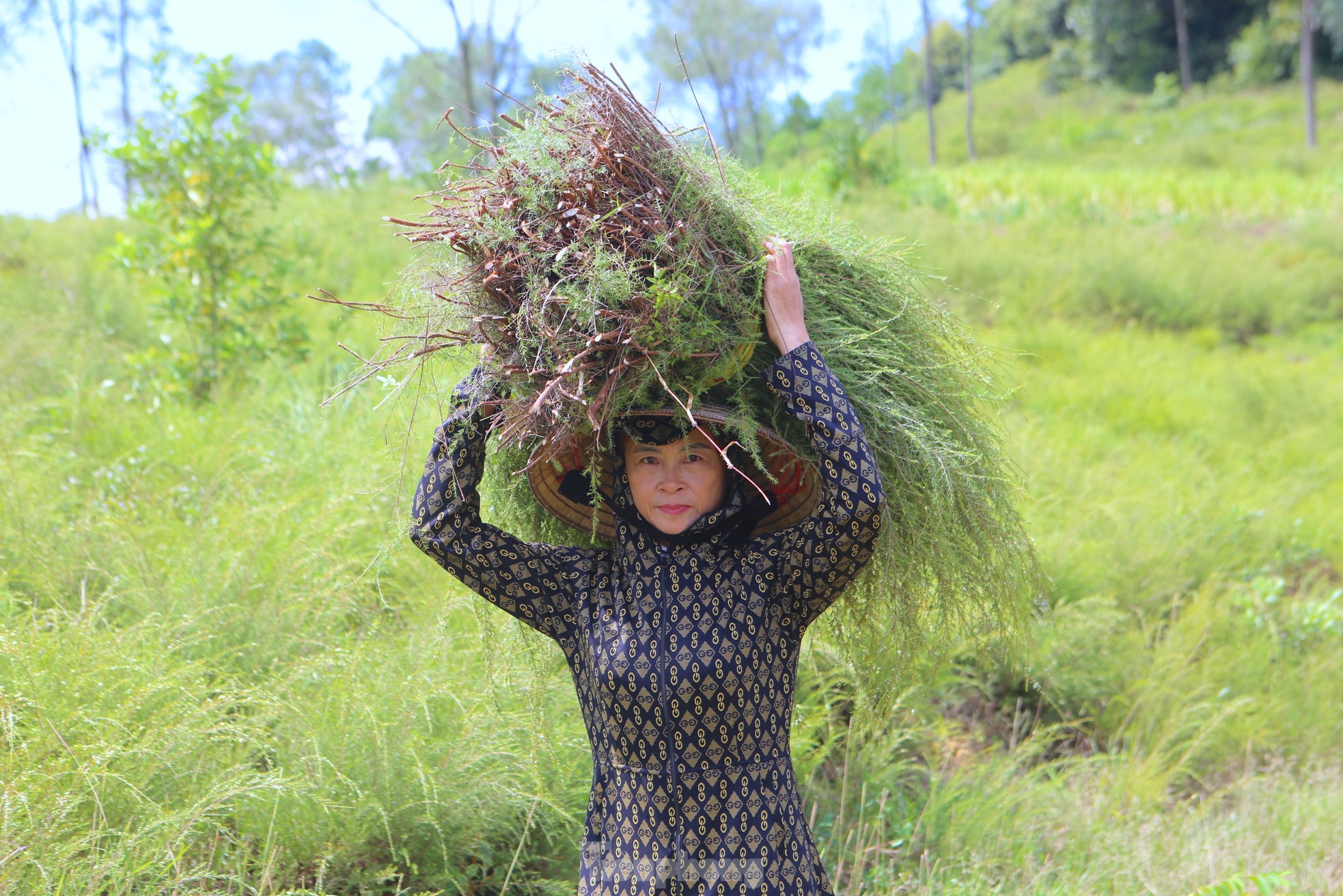 Nông dân Hà Tĩnh kiếm bộn tiền từ cây mọc hoang trên rừng ảnh 15