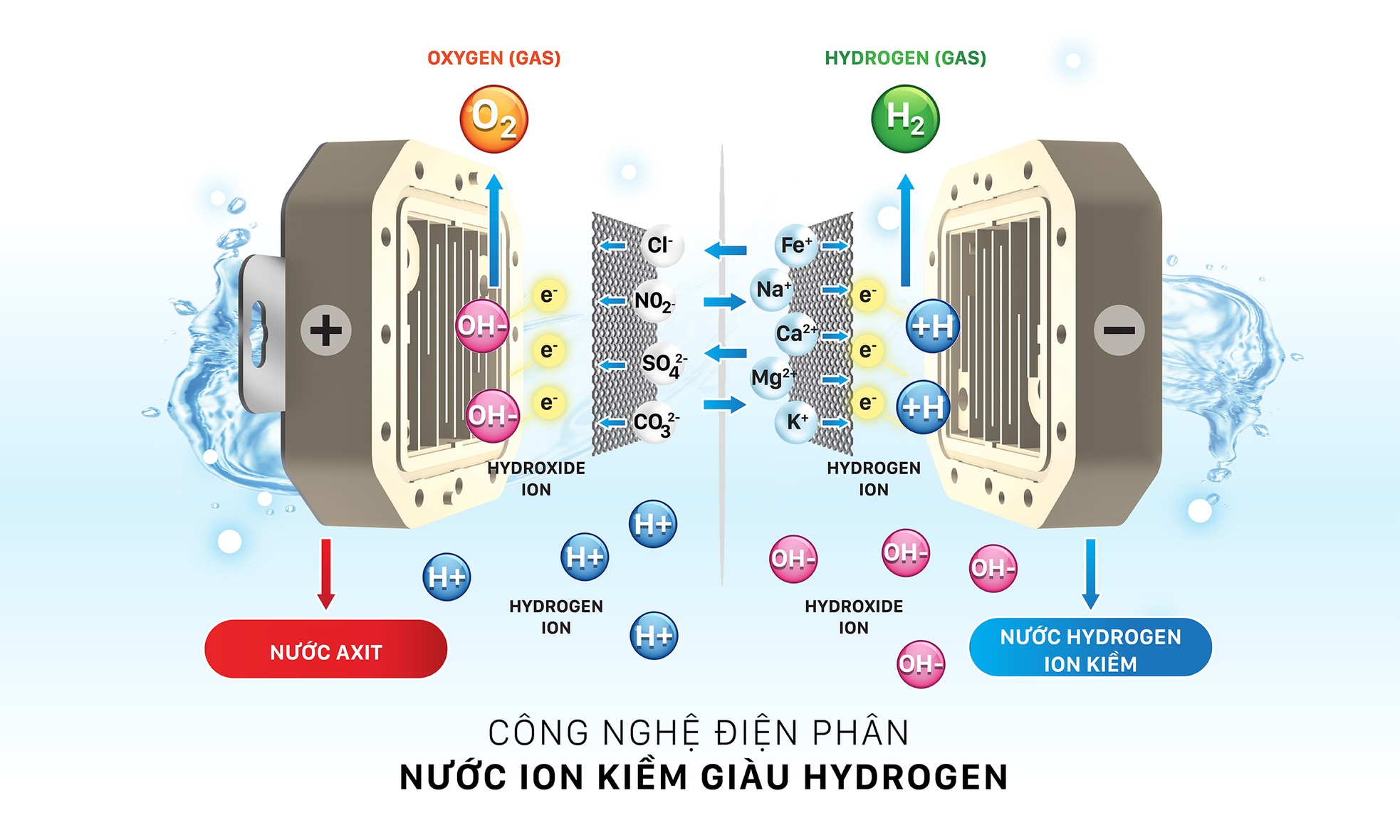 Máy lọc nước ion kiềm mang nước tốt cho sức khỏe người Việt ảnh 2