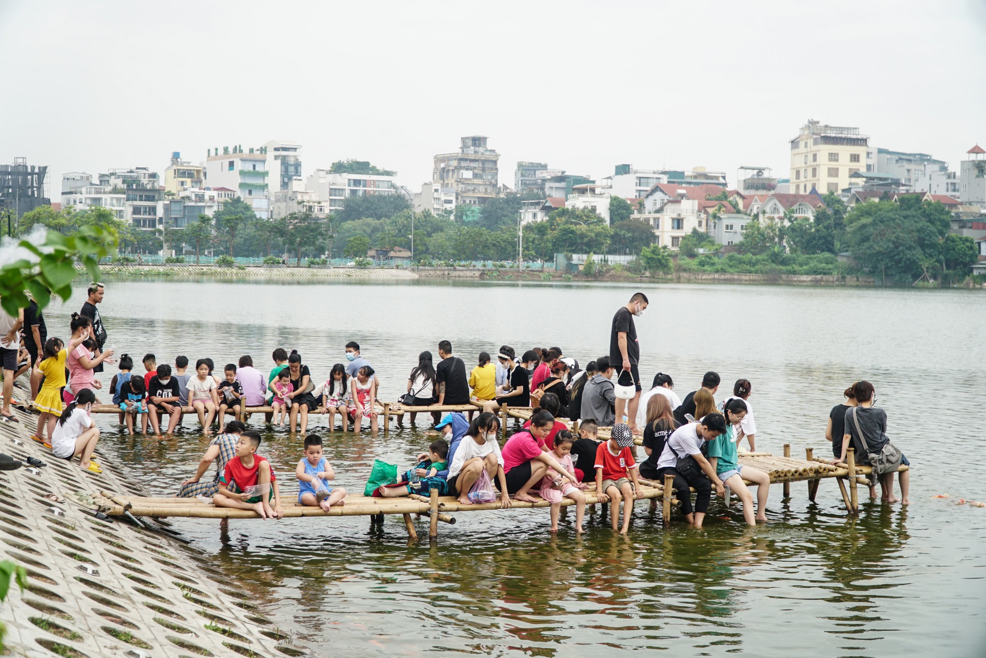 Ngất ngây sắc màu của vạn con cá Koi khi đến hồ Tây ảnh 3