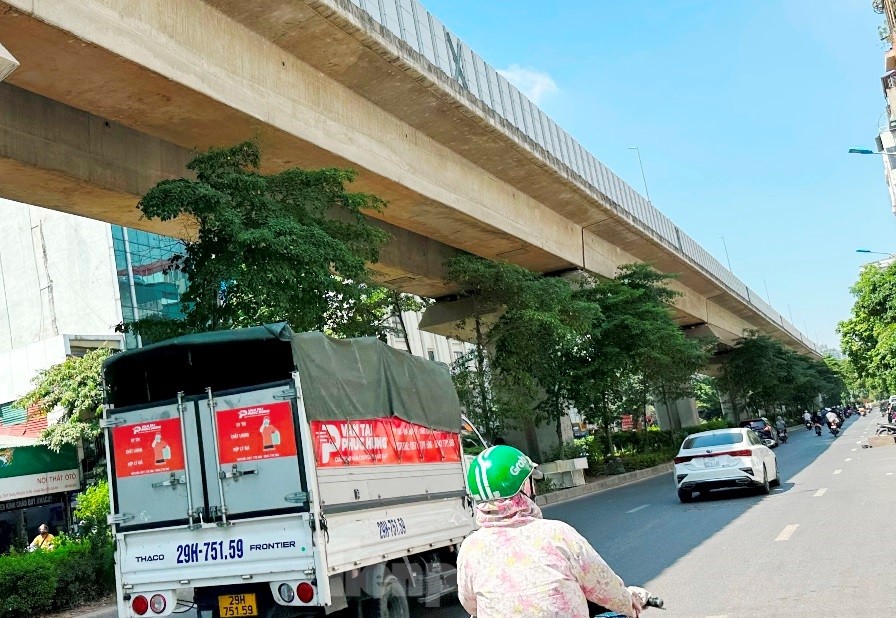 Cám cảnh cây xanh Hà Nội còi cọc 'đụng' gầm đường trên cao ảnh 1
