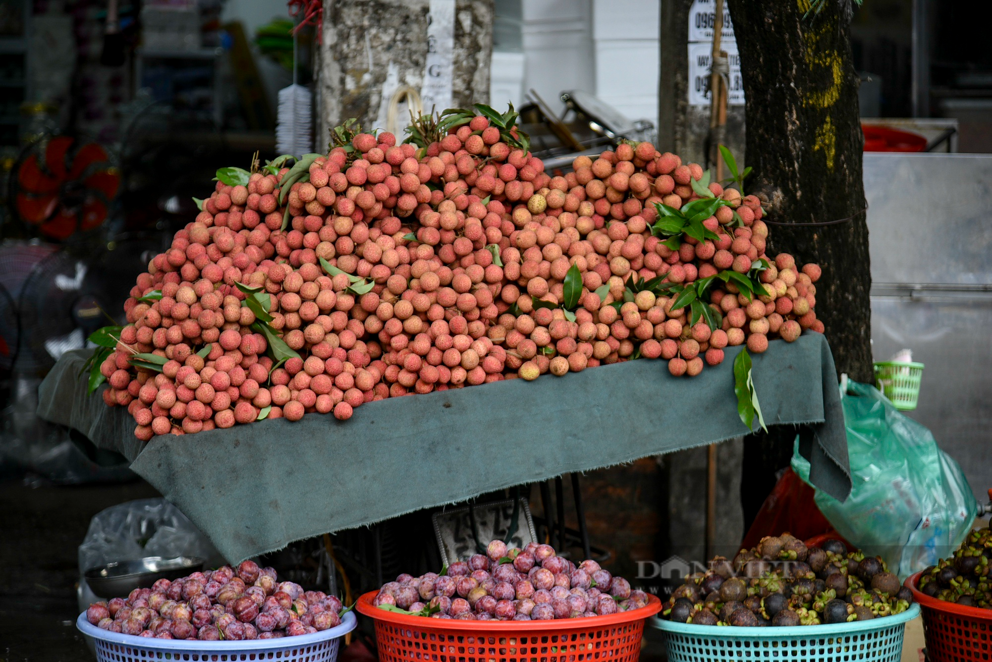 Vải thiều 15.000 đồng/kg 'đổ bộ' xuống đường phố Hà Nội ảnh 10