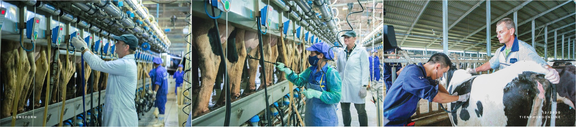 'Để có ly sữa hoàn mỹ, phải mời về những người giỏi nhất!' ảnh 11