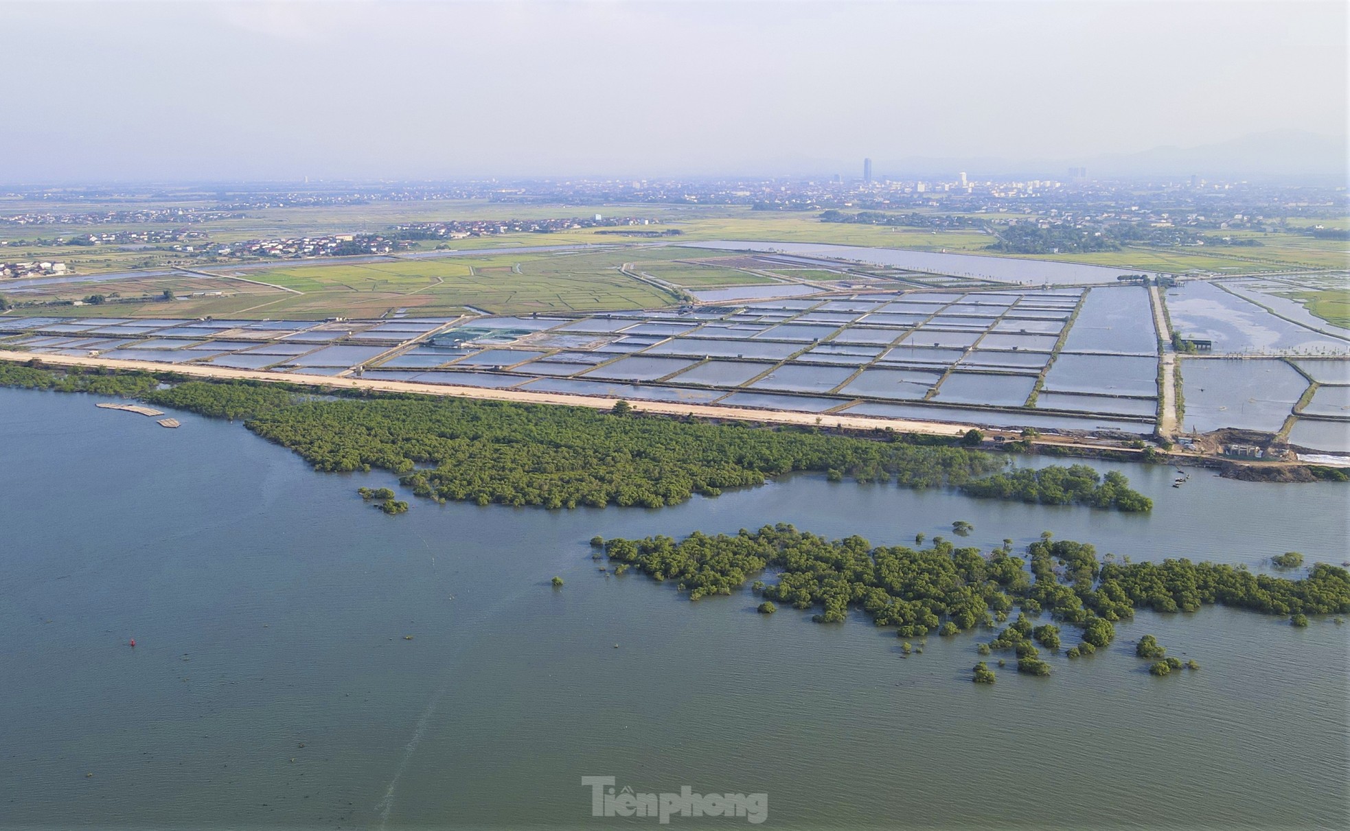 Nhìn từ trên cao những cánh rừng ngập mặn xanh mướt, đẹp như tranh ở Hà Tĩnh ảnh 6