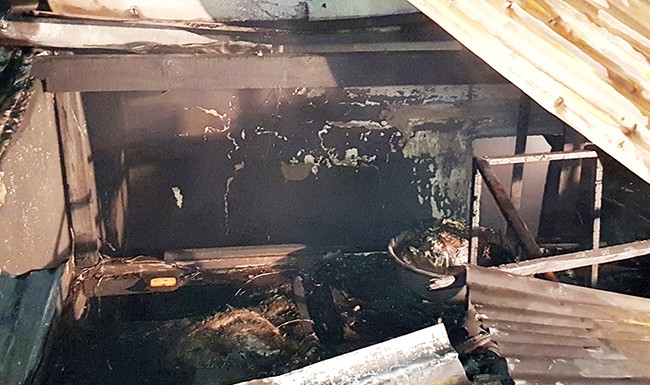 Nghi can phóng hỏa làm 5 người tử vong ở Đà Lạt là hàng xóm ảnh 1