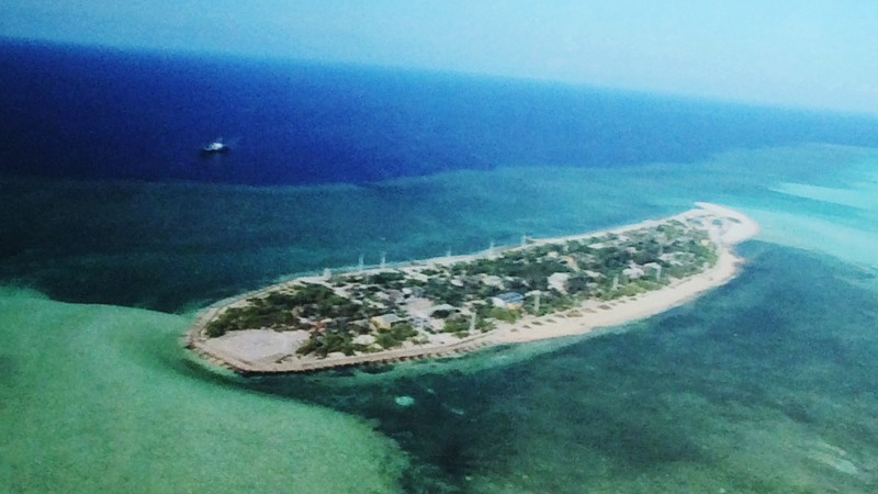 'Sức sống Trường Sa' qua triển lãm tại Đà Lạt ảnh 2