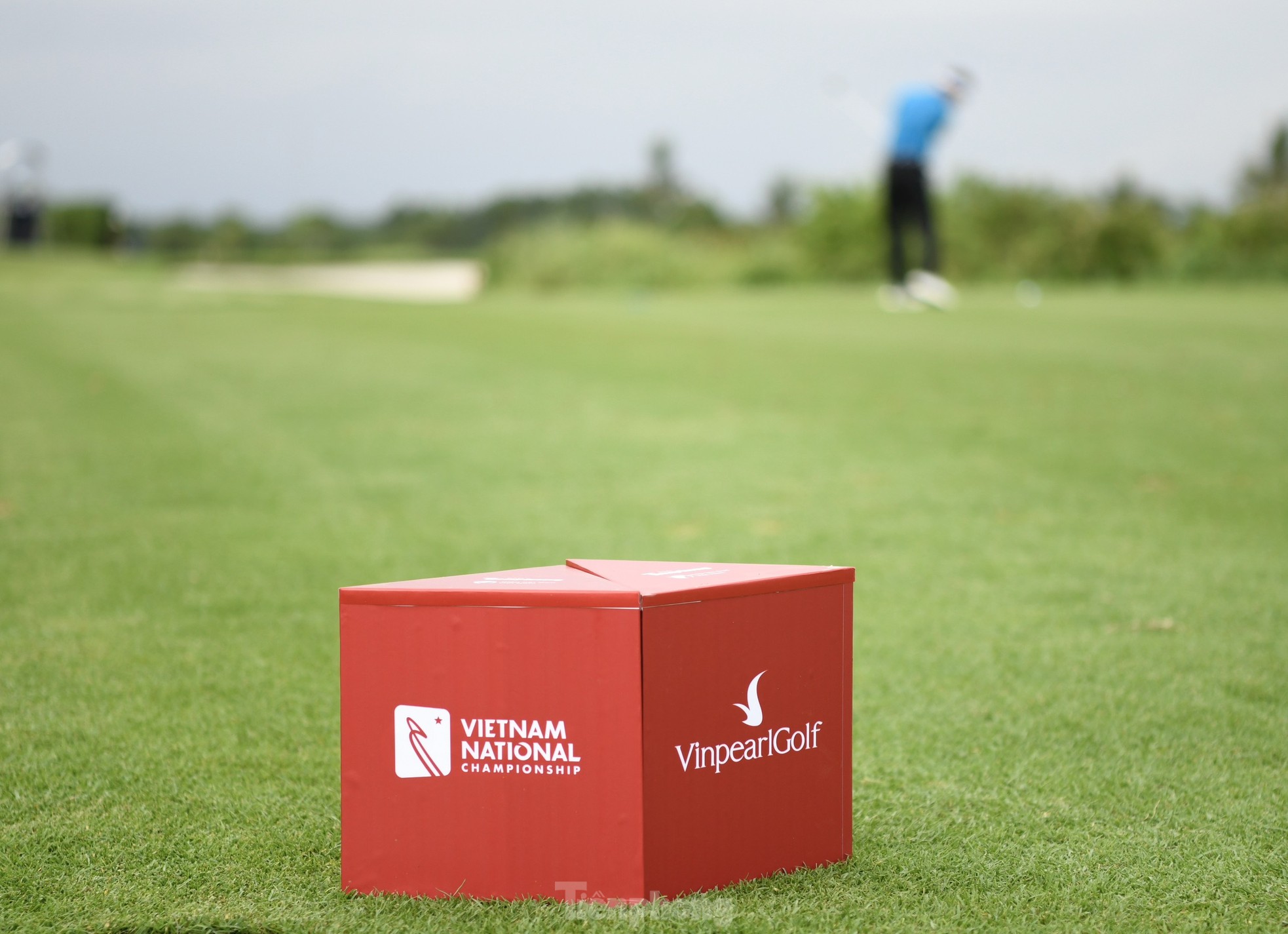 Trọng tài thừa nhận áp lực bởi tầm vóc của Giải Vô địch Golf Quốc gia ảnh 7