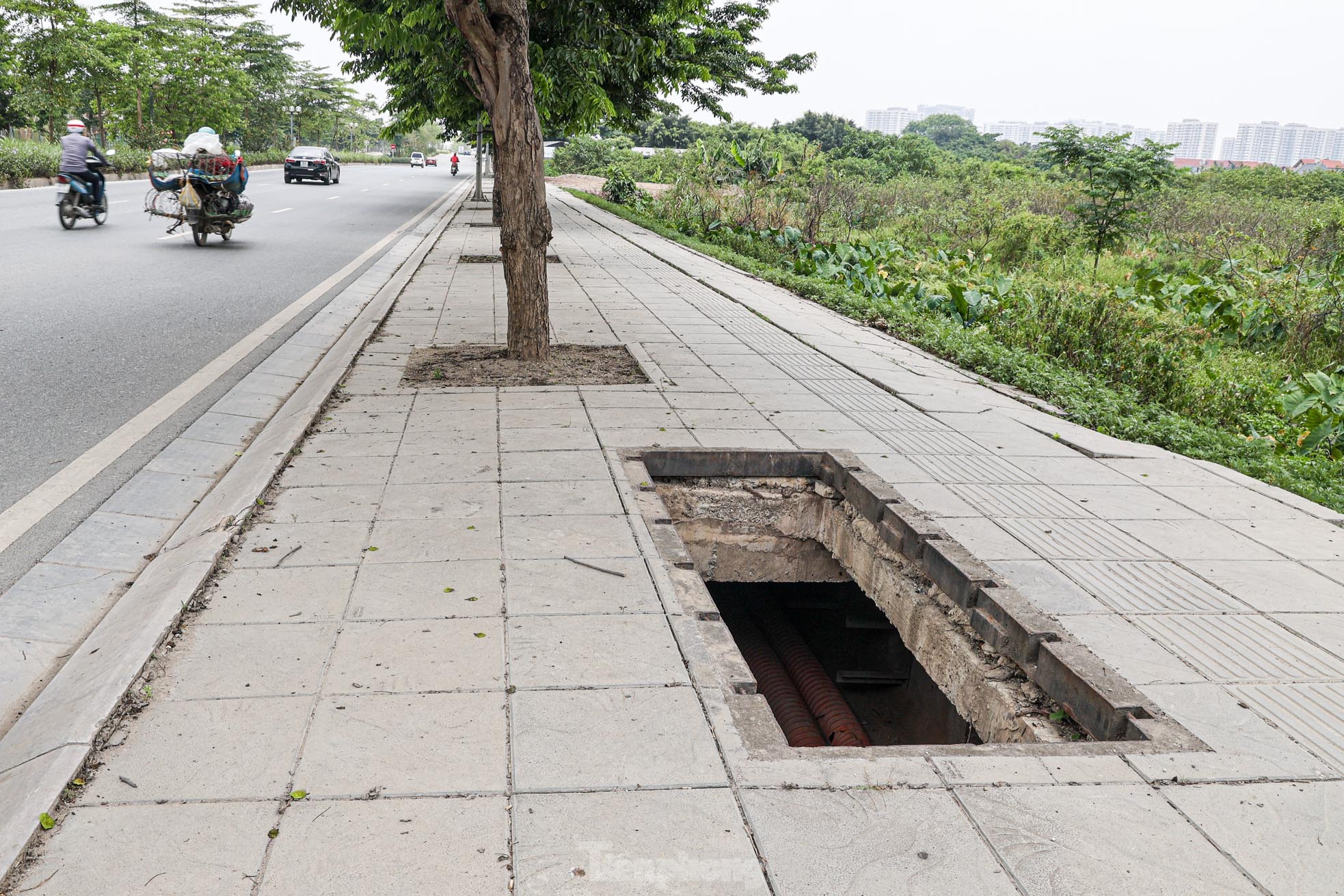 Hàng loạt hố ga cáp quang không nắp như 'bẫy' người dân ở Hà Nội ảnh 1