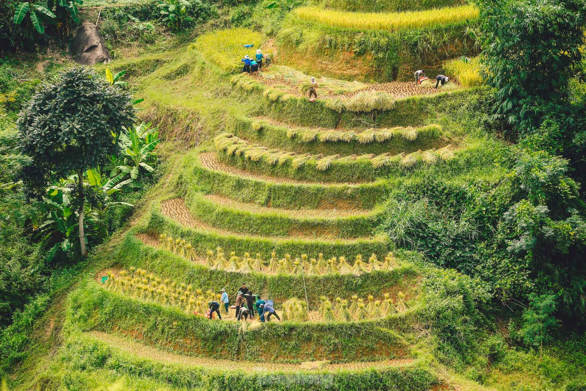 Ngất ngây cảnh sắc 'thiên đường' ruộng bậc thang ở Hoàng Su Phì ảnh 12