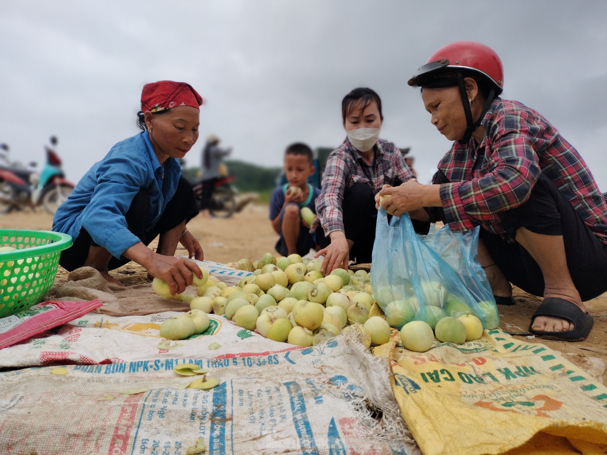 Chợ dưa bên hồ Thác Bà ảnh 7