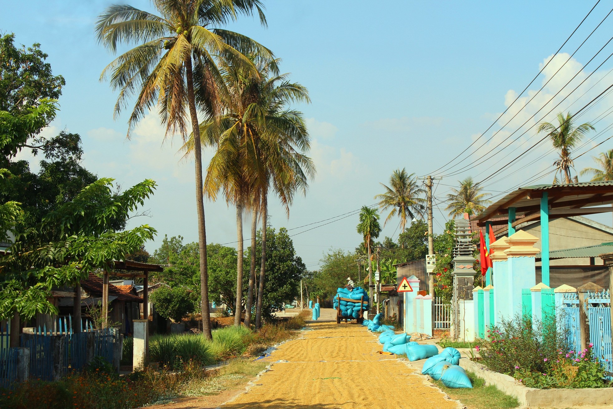 Chuyện miền biên viễn: Huyền thoại mùa vàng vùng biên ảnh 2