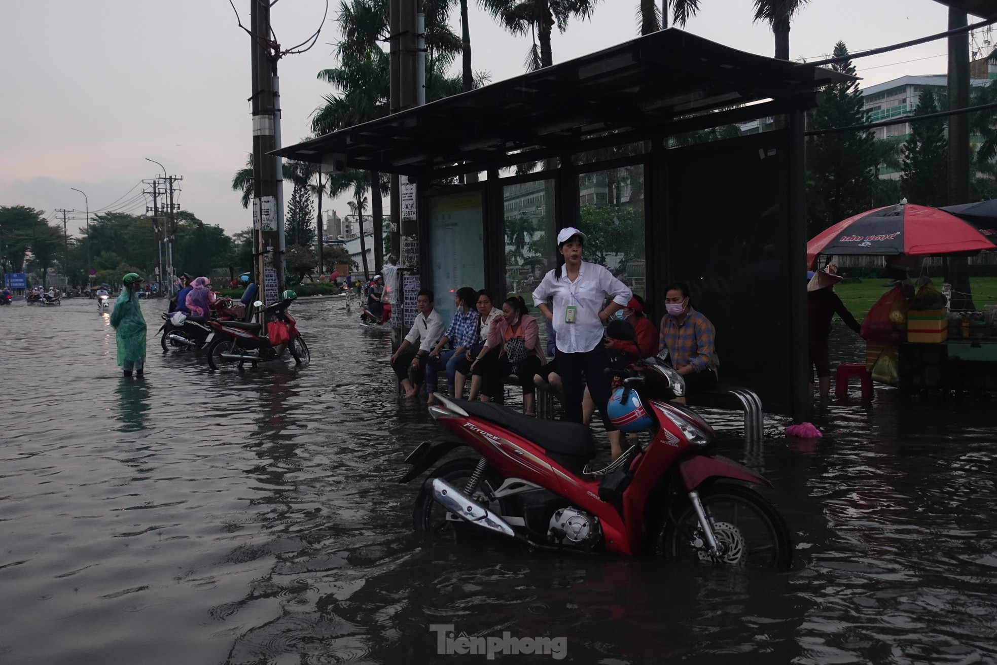 Mưa lớn kéo dài, hầm chui Tân Tạo cùng nhiều tuyến đường TPHCM ngập sâu trong nước ảnh 6