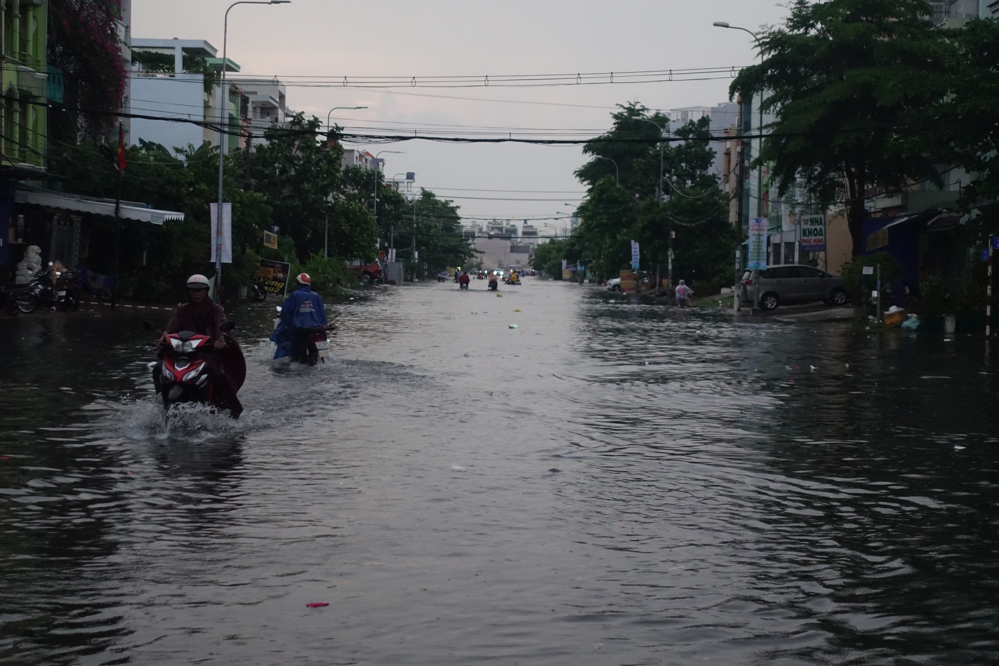 Mưa lớn kéo dài, nhiều tuyến đường TPHCM ngập, cây xanh ngã đổ ảnh 8