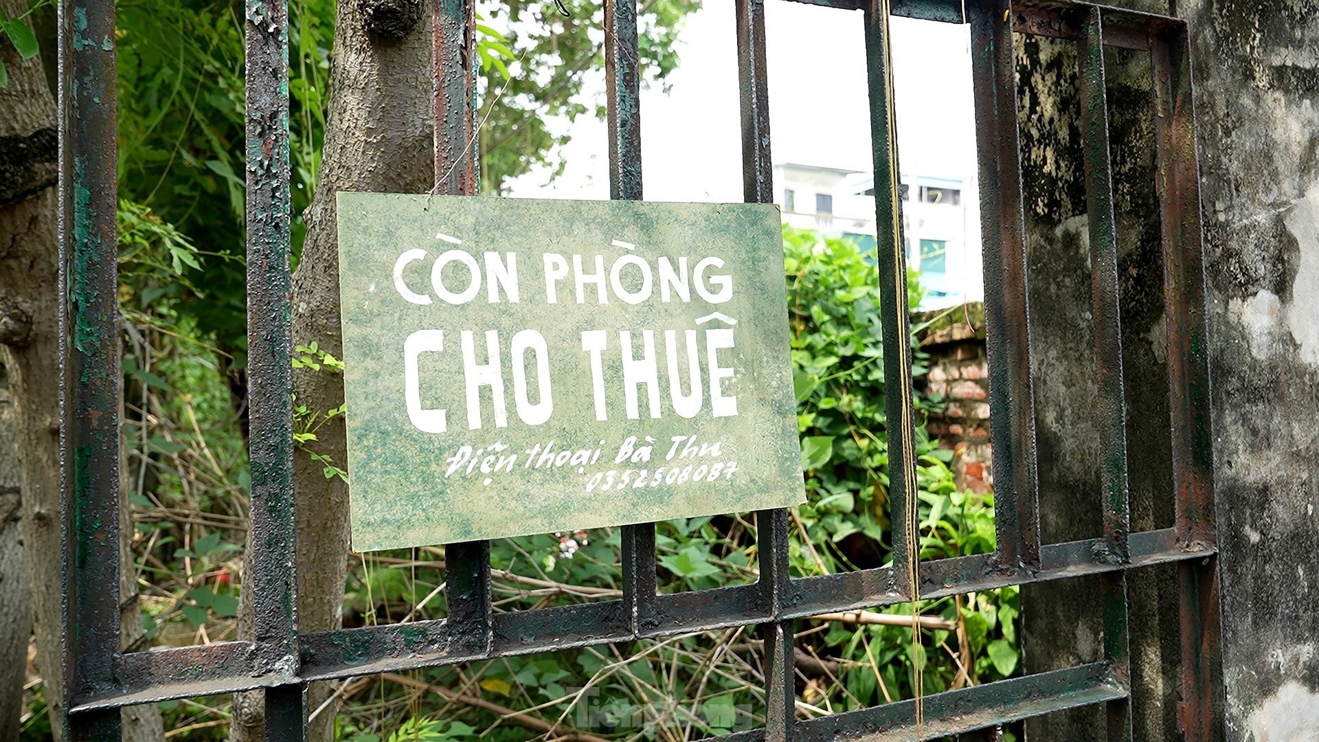 Diễn viên Trần Vân để mặt mộc quay 'Làng trong phố' ảnh 5