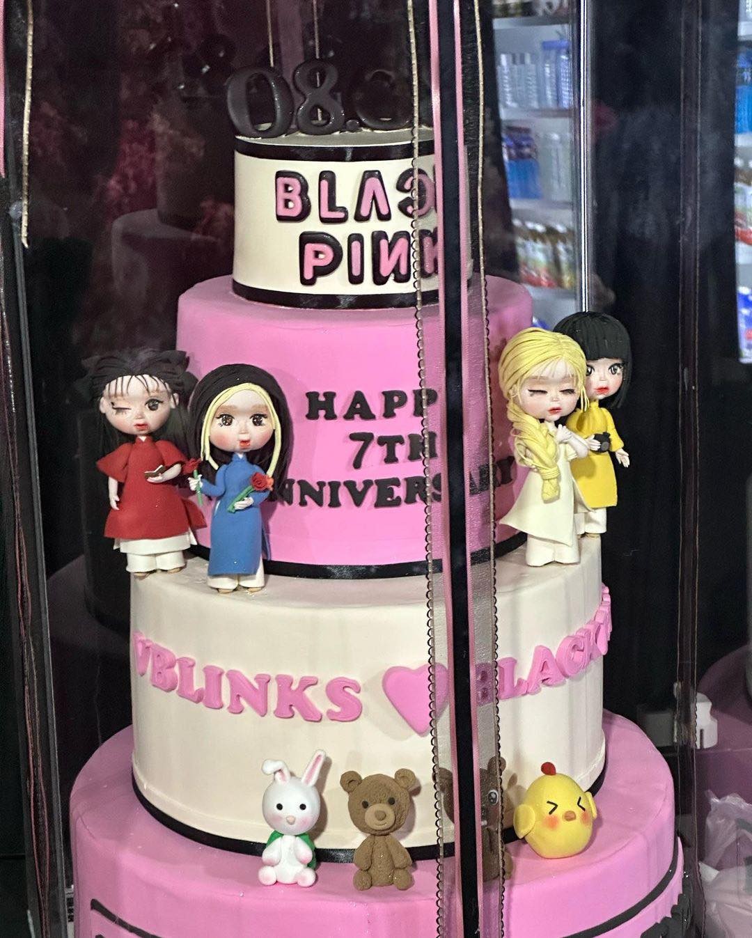 Những bức ảnh độc quyền của BlackPink tại Hà Nội ảnh 16