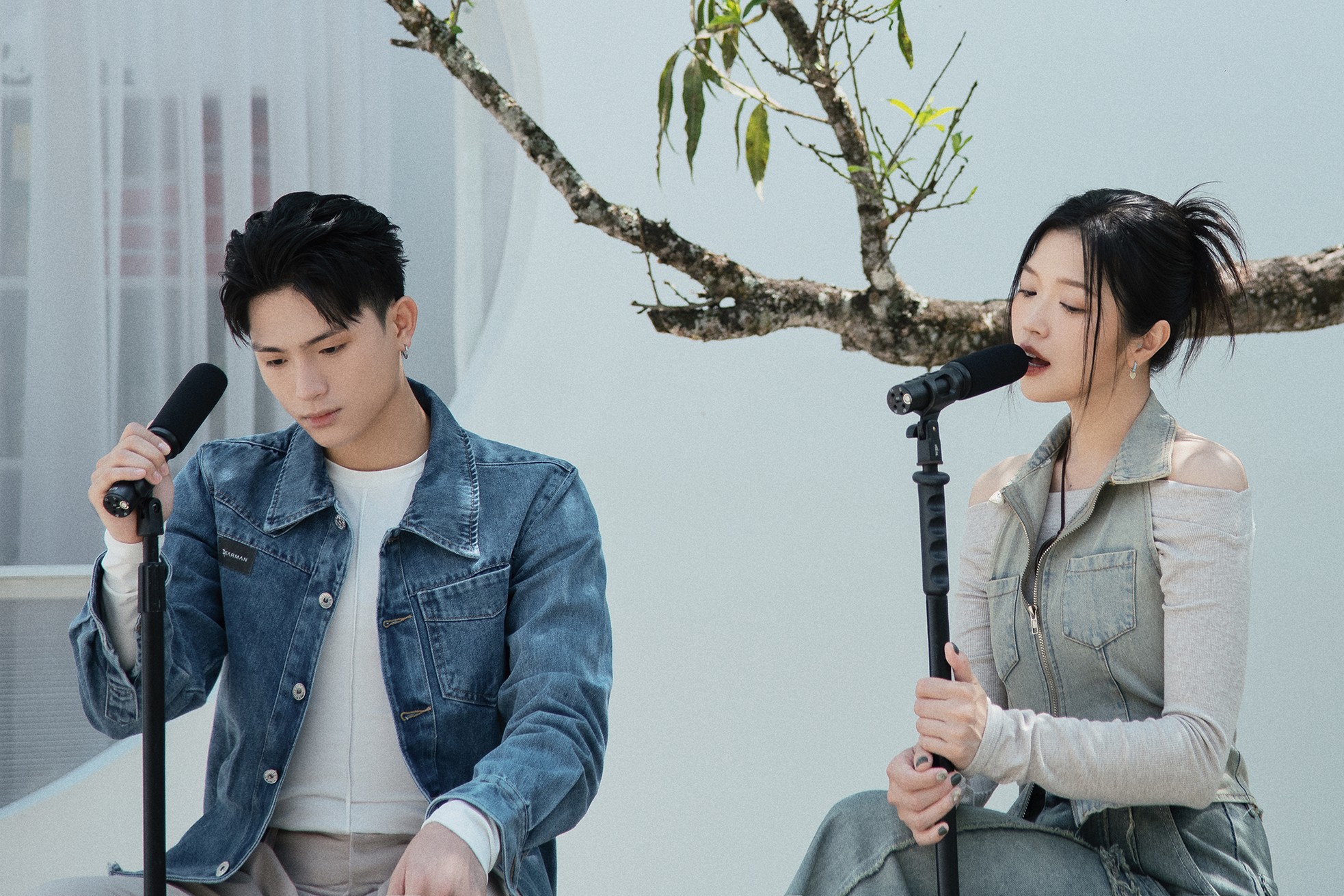 Hiện tượng bí ẩn của nhạc Việt ảnh 2