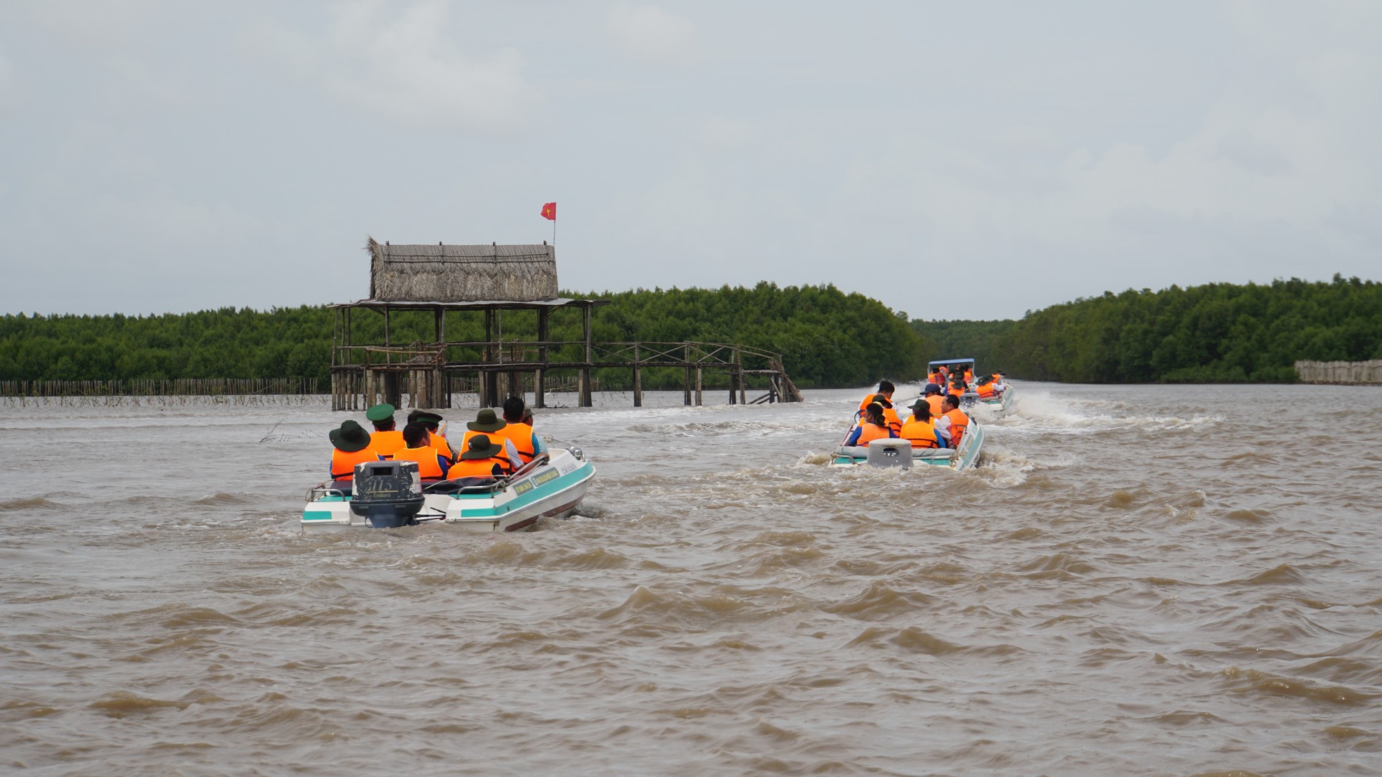 Phó Chủ tịch nước Võ Thị Ánh Xuân khảo sát rừng phòng hộ ven biển Cà Mau ảnh 14