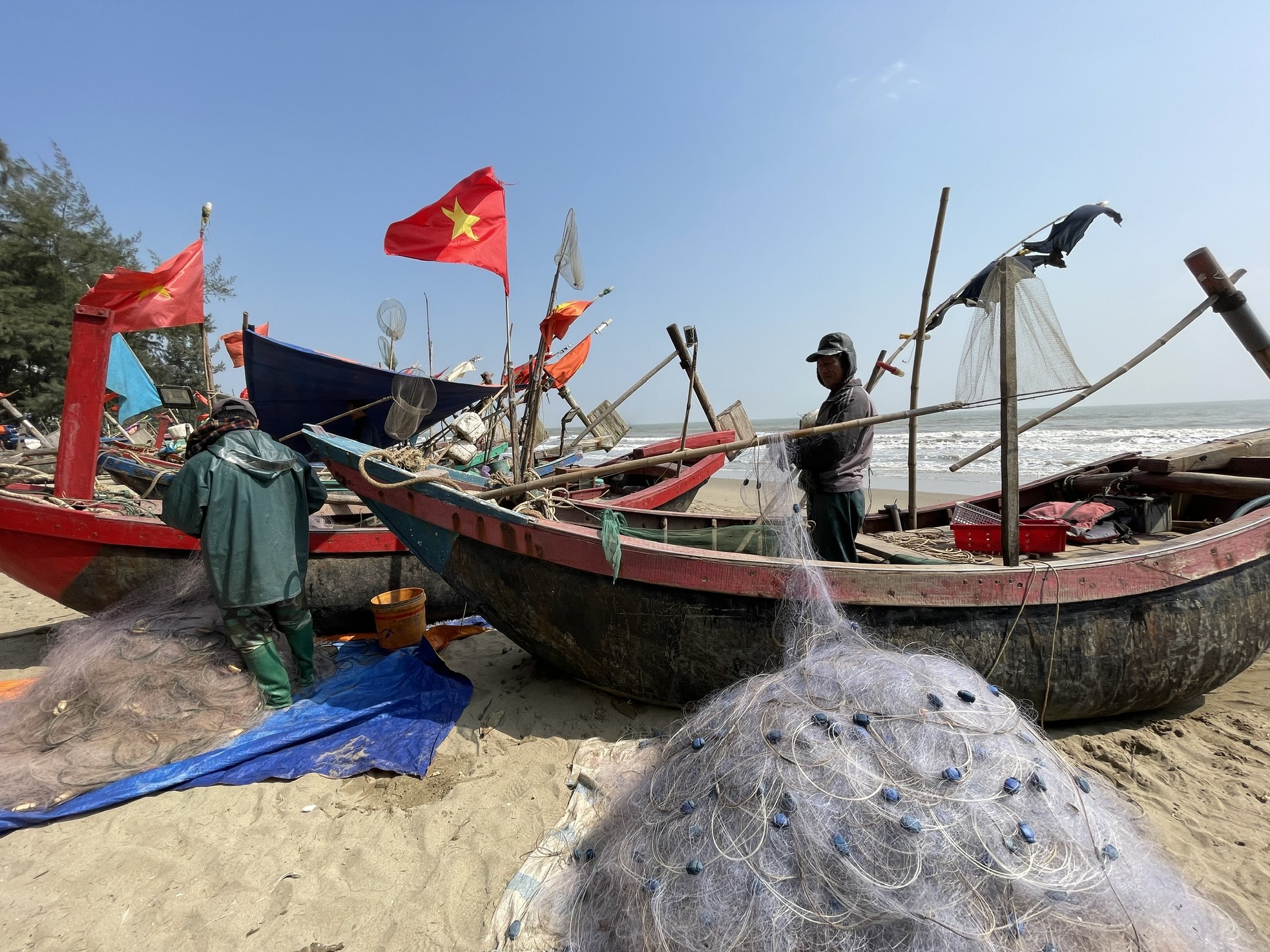 Nắng ấm ngày mùng 4 Tết, ngư dân Thanh Hoá hào hứng đón 'lộc biển' đầu năm ảnh 1