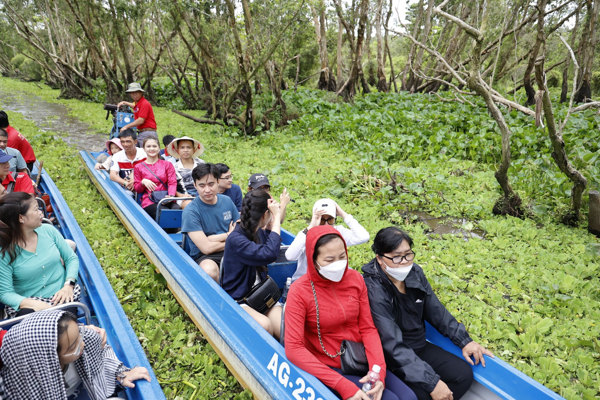 Vào rừng tràm đẹp nhất miền Tây, khám phá phim trường 'Đất phương Nam' ảnh 3