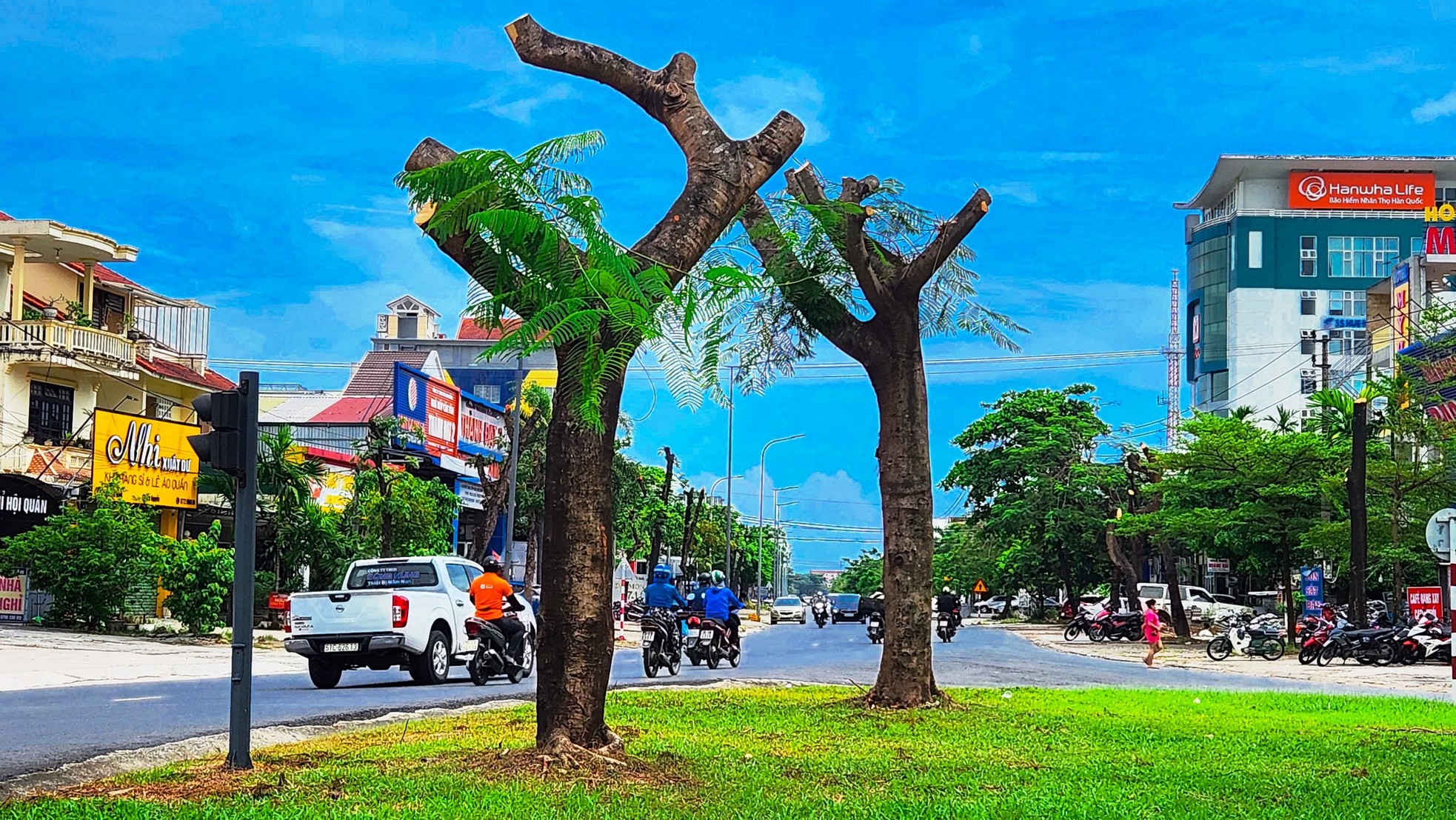Vì sao loạt cây xanh tuyến phố lớn tại Huế bị ‘trảm’ trụi thân cành, tán lá giữa nắng nóng gay gắt? ảnh 1