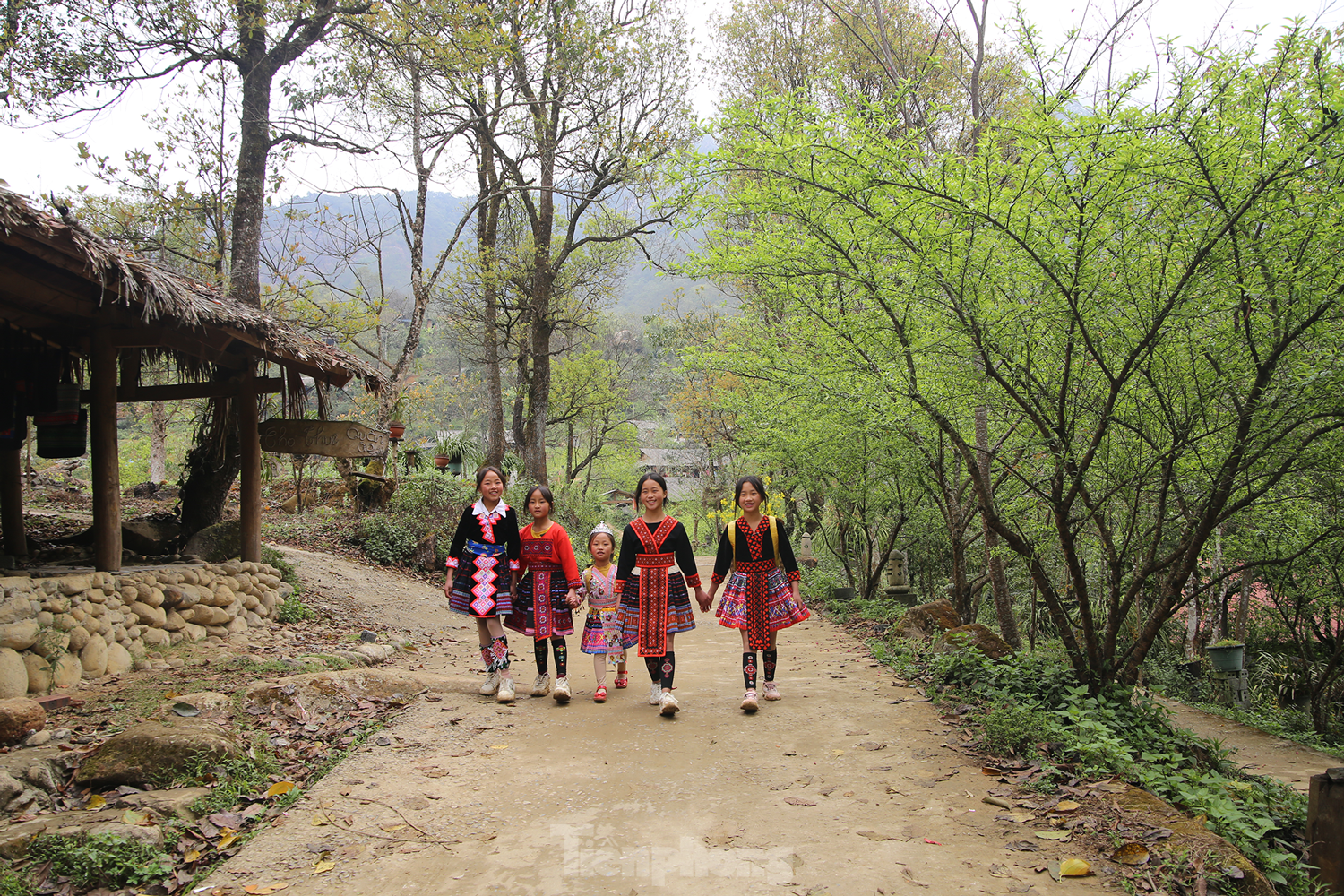 Bản người Mông ở Lai Châu: Hành trình từ bản nghiện hút tới Giải thưởng Du lịch cộng đồng ASEAN ảnh 17