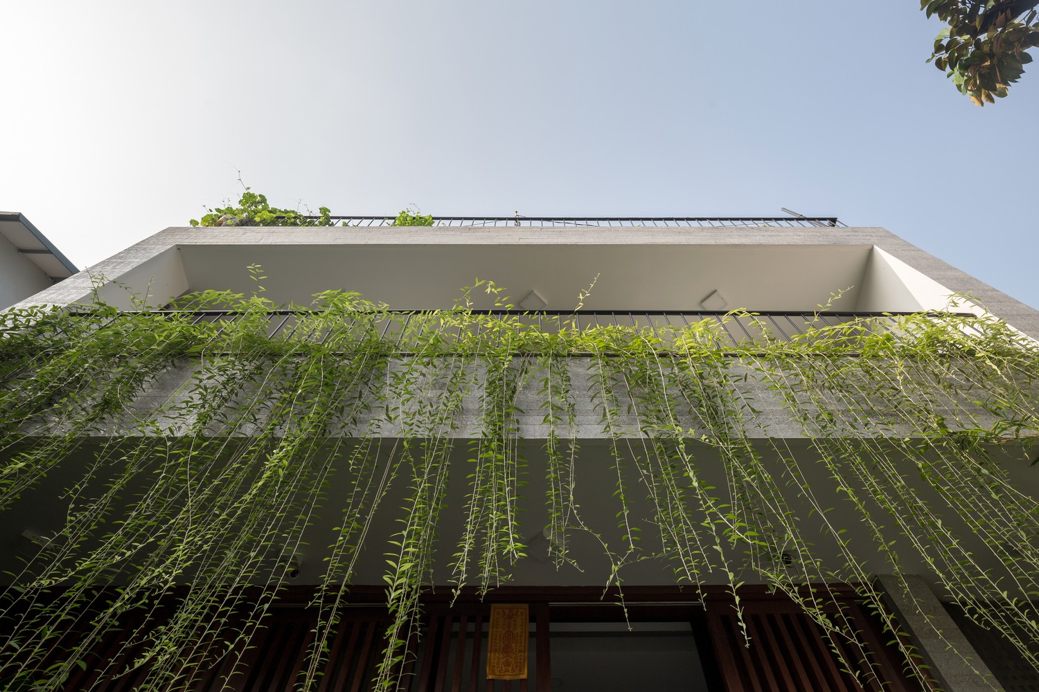Mái nhà 3 trong 1 thiết kế giúp nhà mát mẻ, chống tiếng ồn lại có rau sạch ăn quanh năm