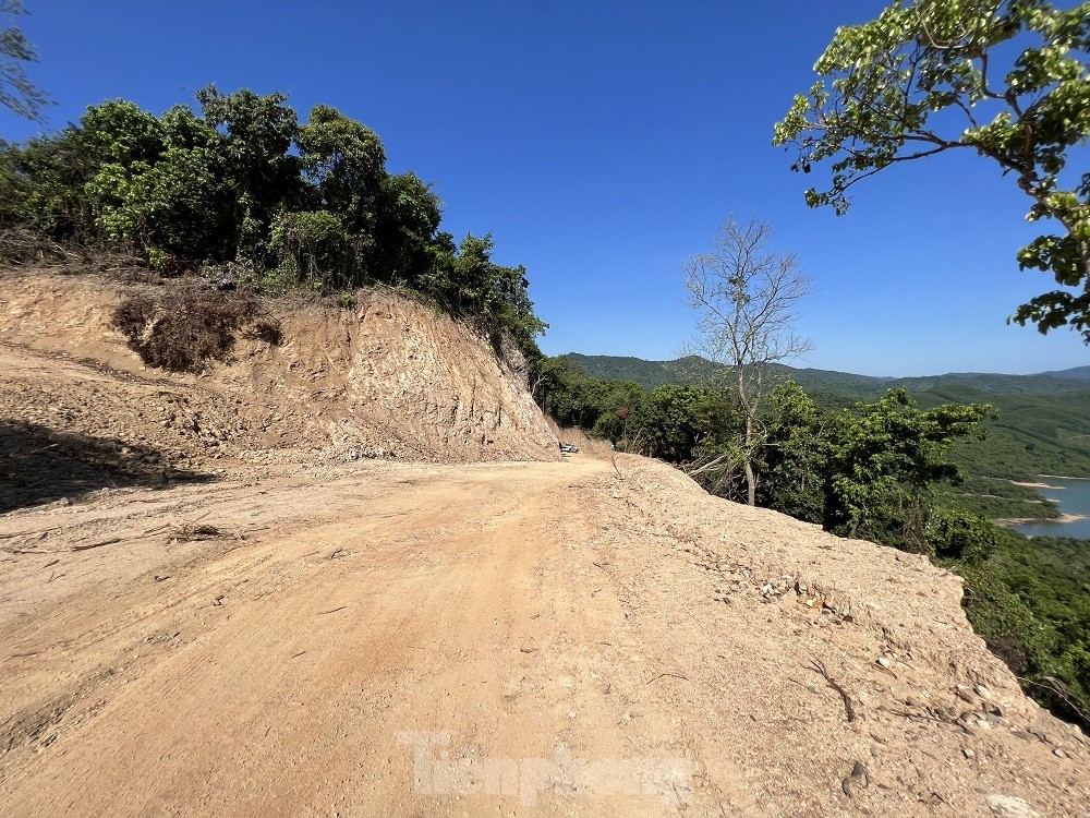 Chủ tịch tỉnh Quảng Ngãi chỉ đạo ‘nóng’ vụ phá rừng tự nhiên mở đường công vụ ảnh 3