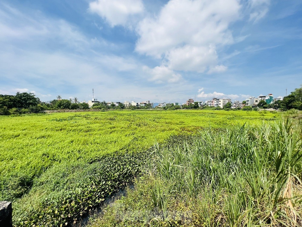 Người dân 'chịu không thấu' mùi hôi của 2 hồ điều hòa lớn nhất TP Quảng Ngãi ảnh 10