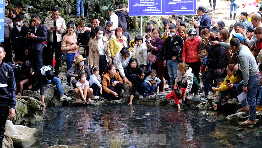 Hàng nghìn du khách đổ về thăm suối cá thần ngày cuối nghỉ Tết Nguyên đán Quý Mão ảnh 11