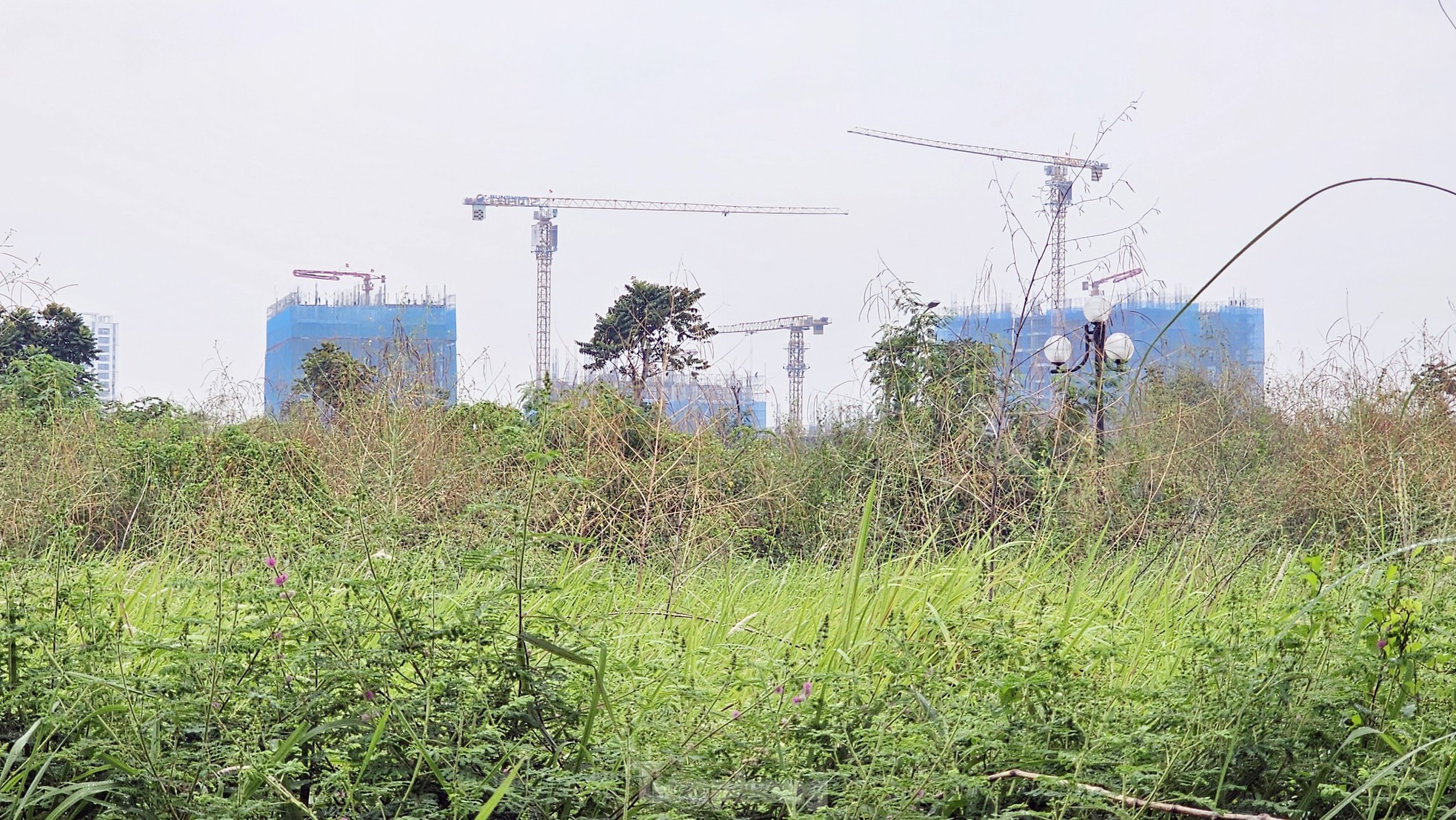 Hiện trạng khu 'đất vàng' Hà Nội sắp đấu giá với giá khởi điểm hơn 2.000 tỷ ảnh 13